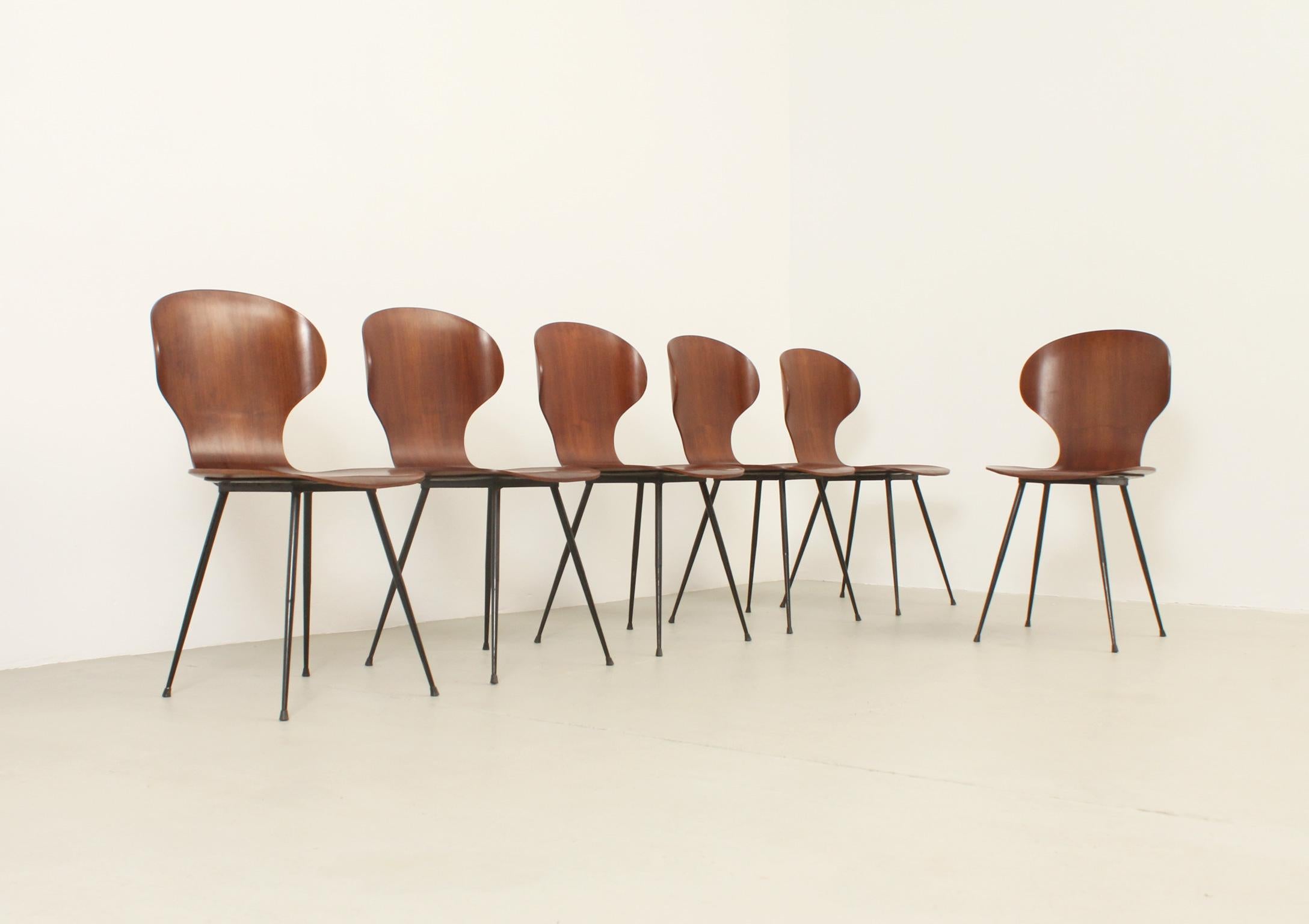 Set of Six Plywood Side Chairs by Carlo Ratti, Italy, 1950's For Sale 9