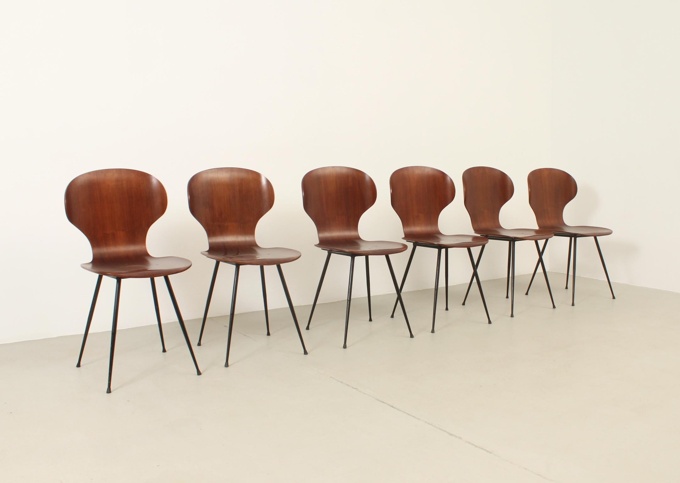 Satz von sechs Beistellstühlen aus Sperrholz von Carlo Ratti, Italien, 1950er Jahre (Moderne der Mitte des Jahrhunderts) im Angebot