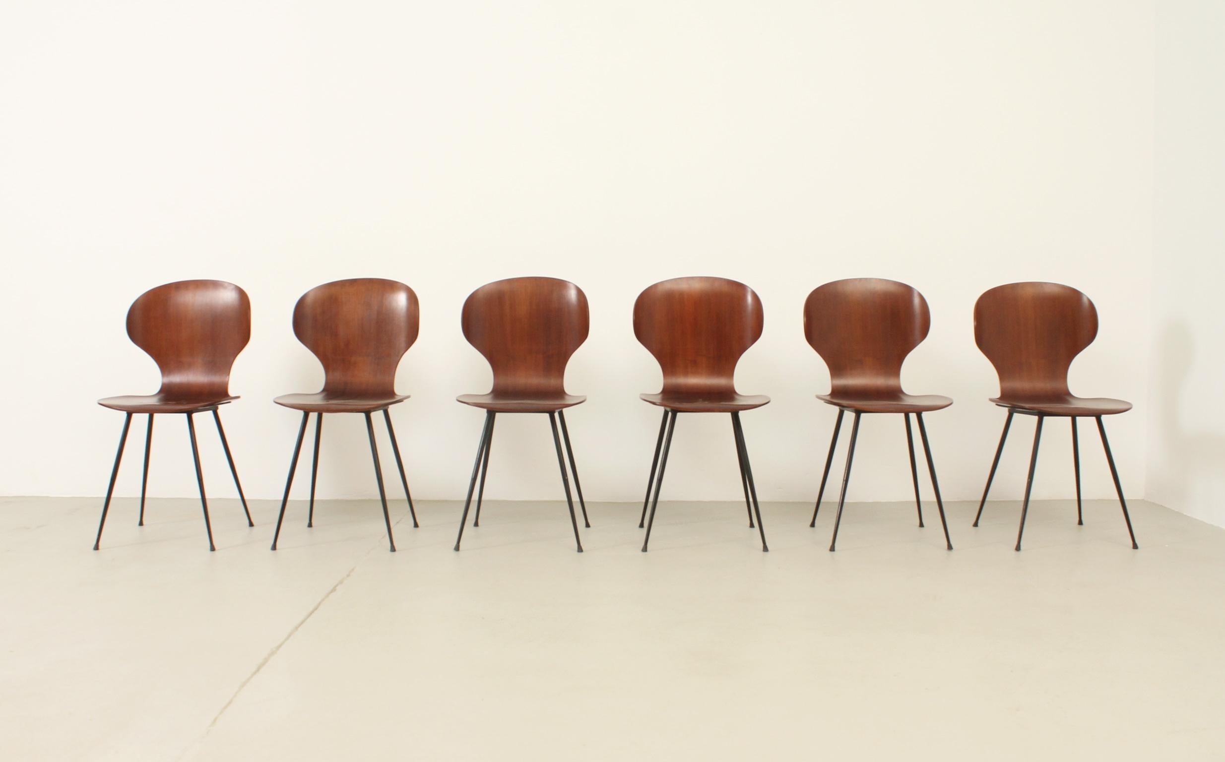 Italian Set of Six Plywood Side Chairs by Carlo Ratti, Italy, 1950's For Sale