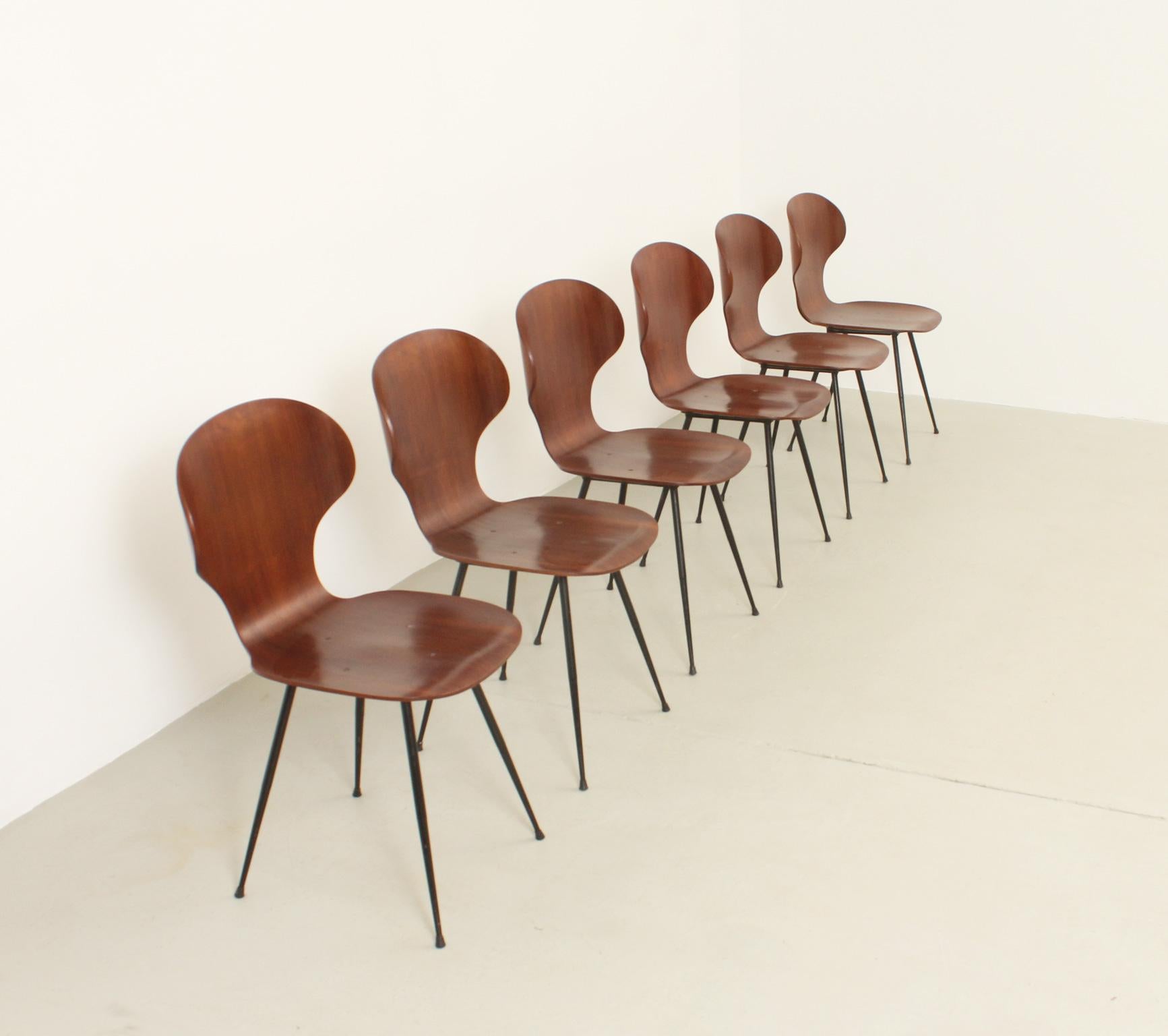 Satz von sechs Beistellstühlen aus Sperrholz von Carlo Ratti, Italien, 1950er Jahre (Mitte des 20. Jahrhunderts) im Angebot