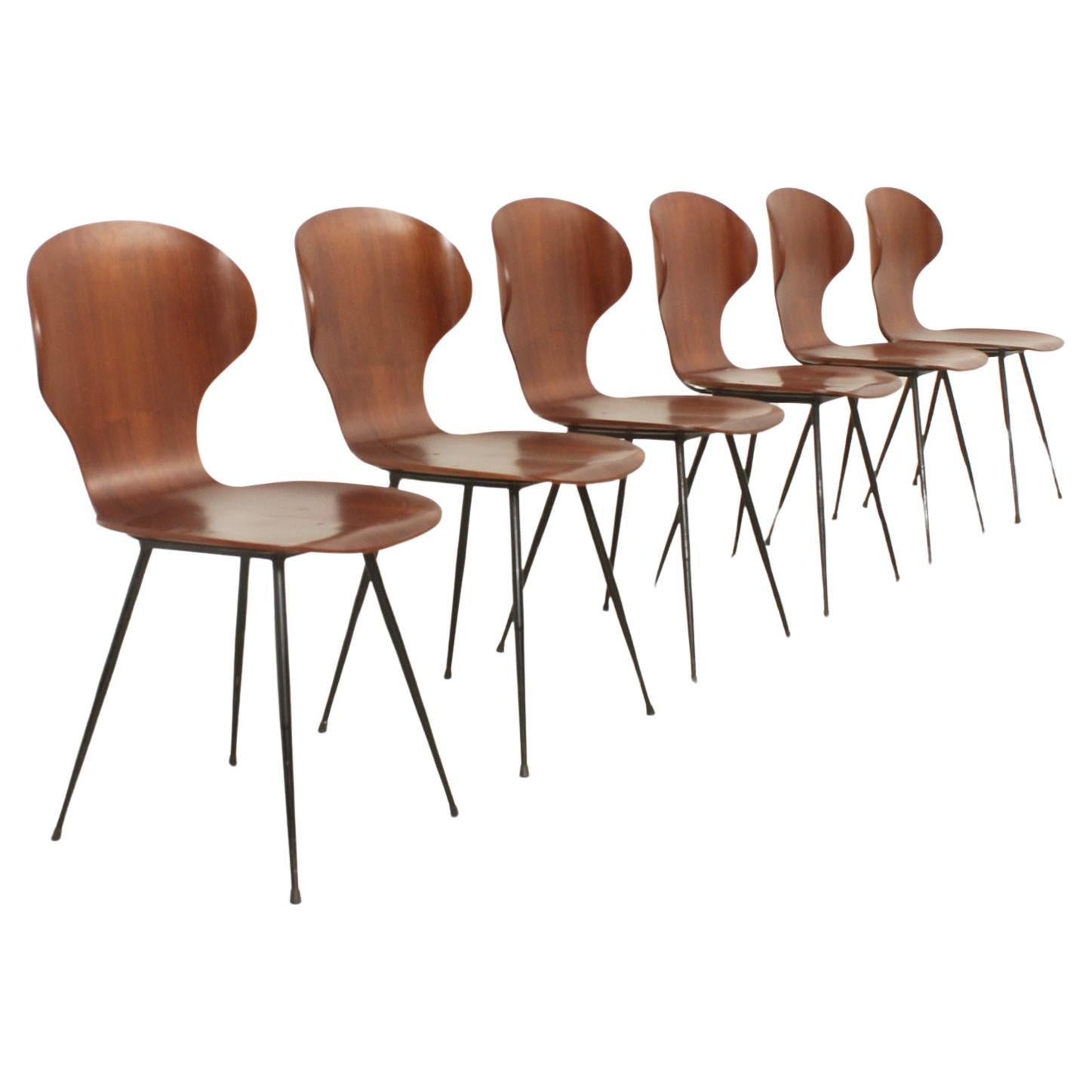 Set of Six Plywood Side Chairs by Carlo Ratti, Italy, 1950's For Sale