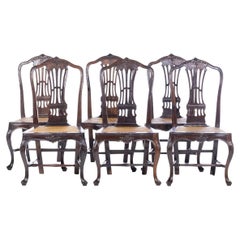 SET OF SIX PORTUGUESE CHAIRS  18th Century in Brazilian Rosewood