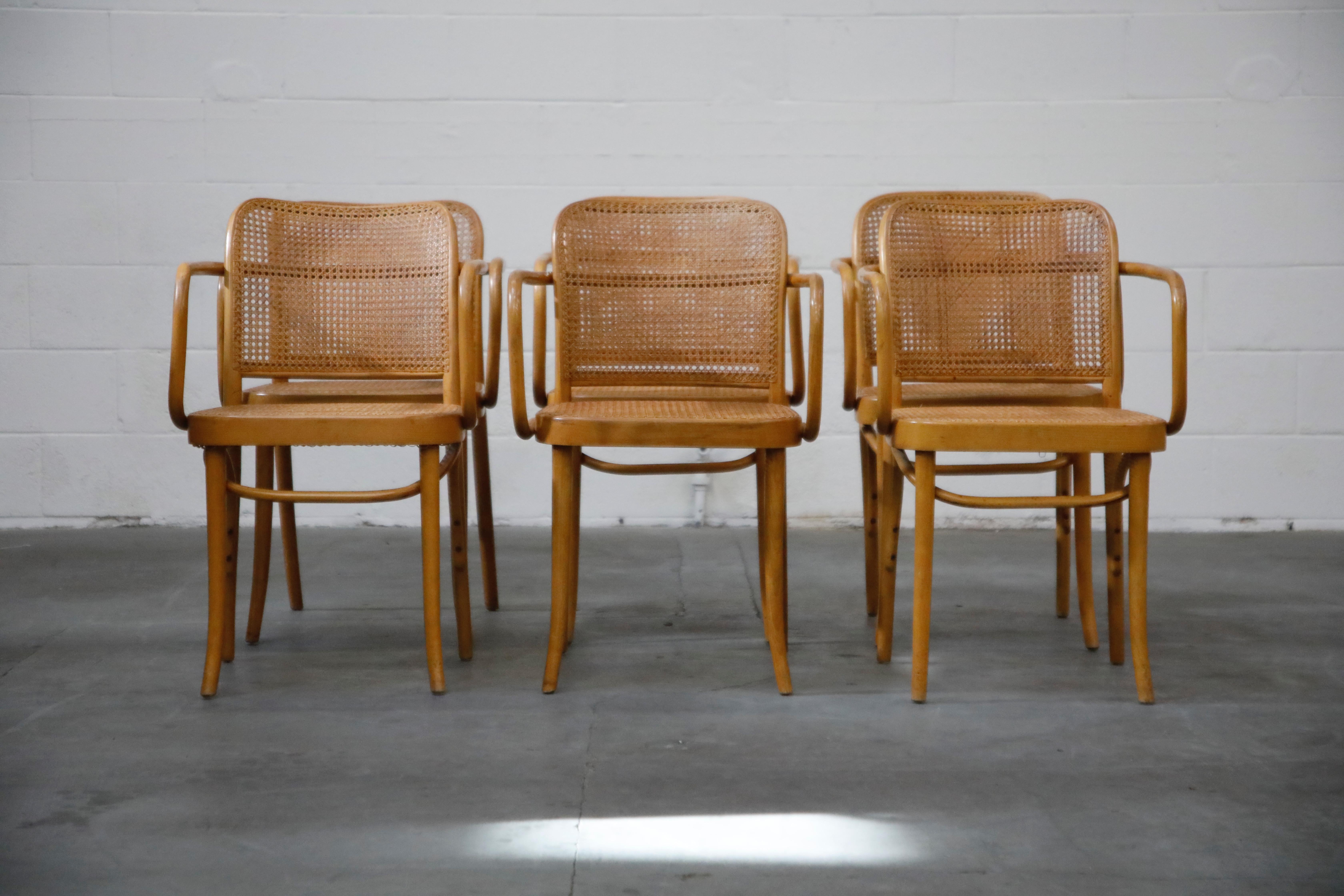 An amazing authentic set of six (6) iconic 'Prague' bentwood dining chairs by Josef Frank and Josef Hoffmann, circa 1960s, featuring bentwood birch frames with gorgeous caned seats and seat backs, each stamped on the underside of the seat with Made
