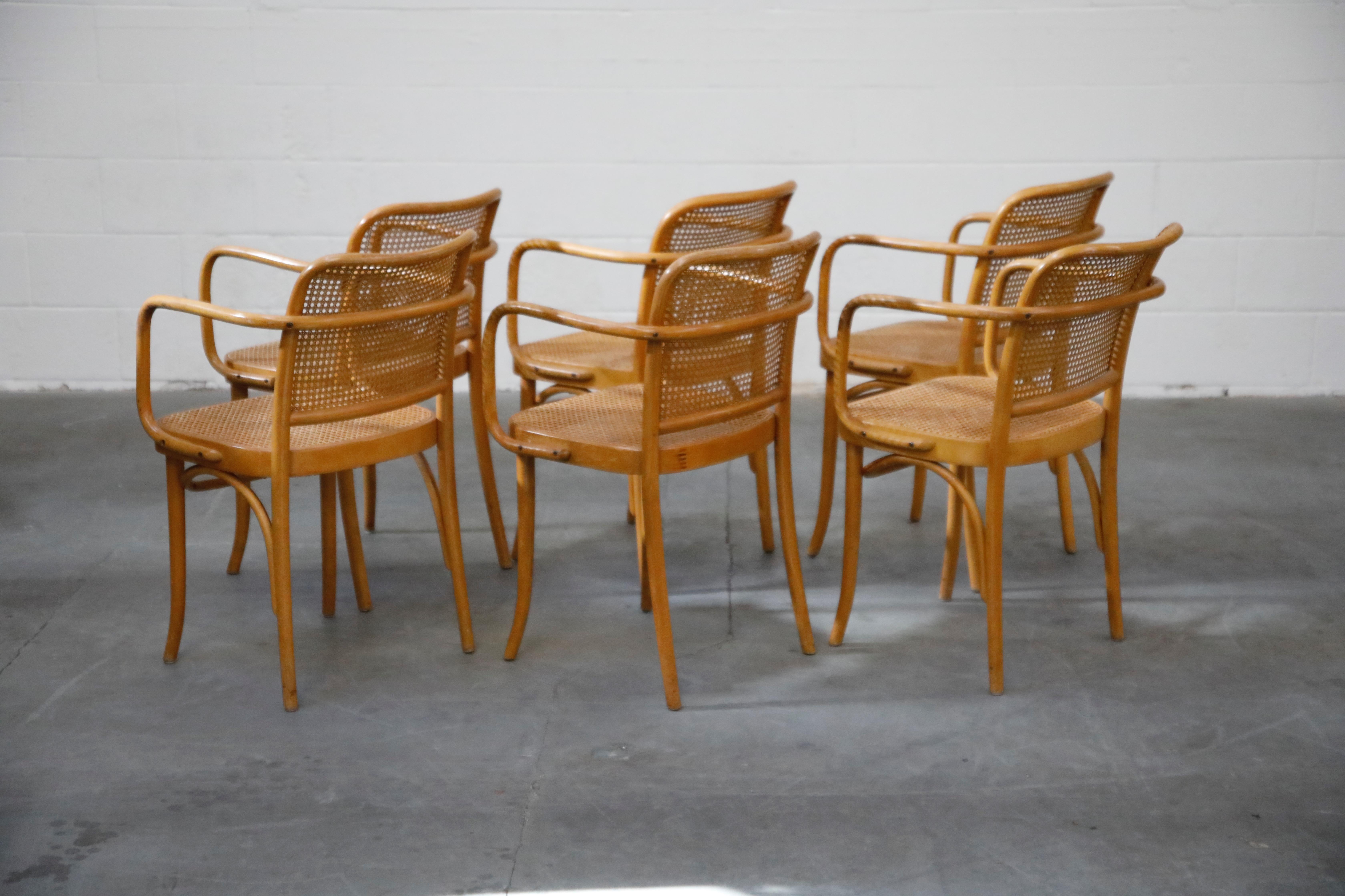Czech Set of Six 'Prague' Dining Chairs by Josef Frank & Josef Hoffmann, 1960s, Signed