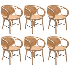 Set of Six Rattan Dining Armchairs French Modern Design