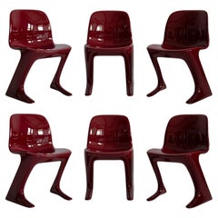 Conjunto de seis sillas canguro de vino tinto Diseñadas por Ernst Moeckl, Alemania, 1968