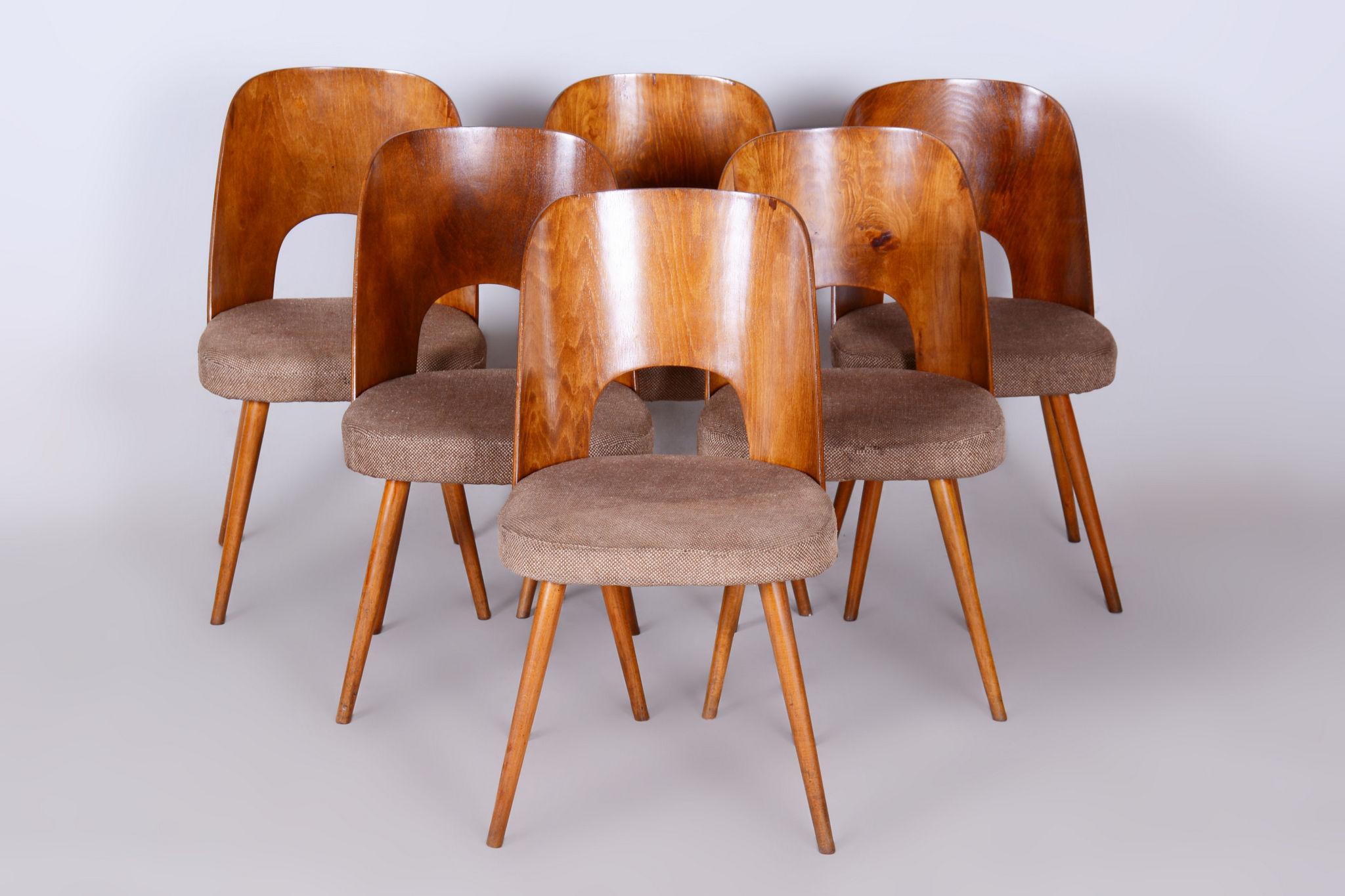 Set of six Mid-Century Modern chairs made in 1950s in Czechia. 

In pristine original condition, the upholstery has been professionally cleaned and its polish revived by our refurbushing team in Czechia. 

This item features Classic Mid-Century