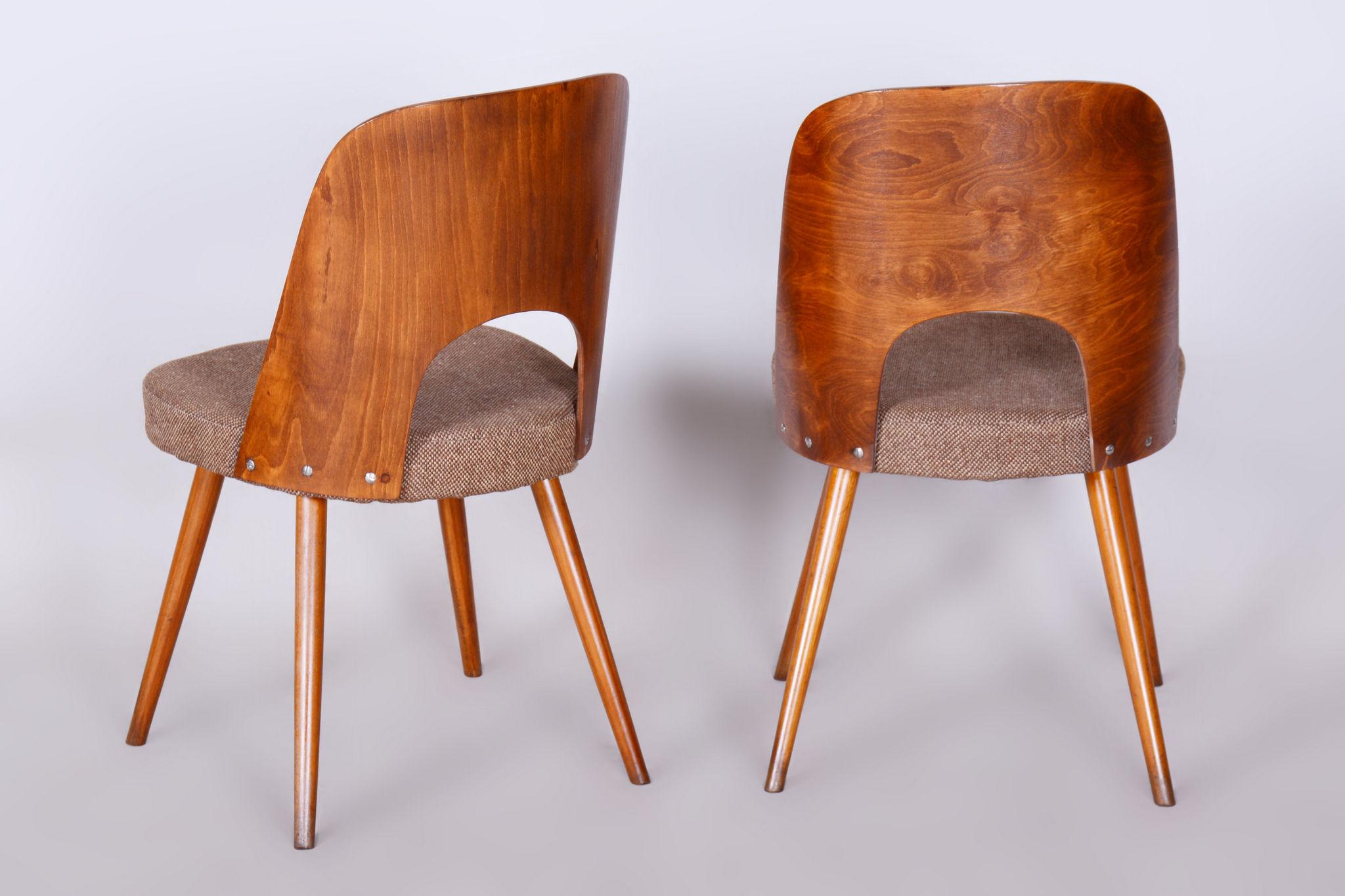 Set of Six Restored Mid-Century Modern Chairs, Beech, Czechia, 1950-1959 3