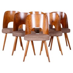 Vintage Set of Six Restored Mid-Century Modern Chairs, Beech, Czechia, 1950-1959