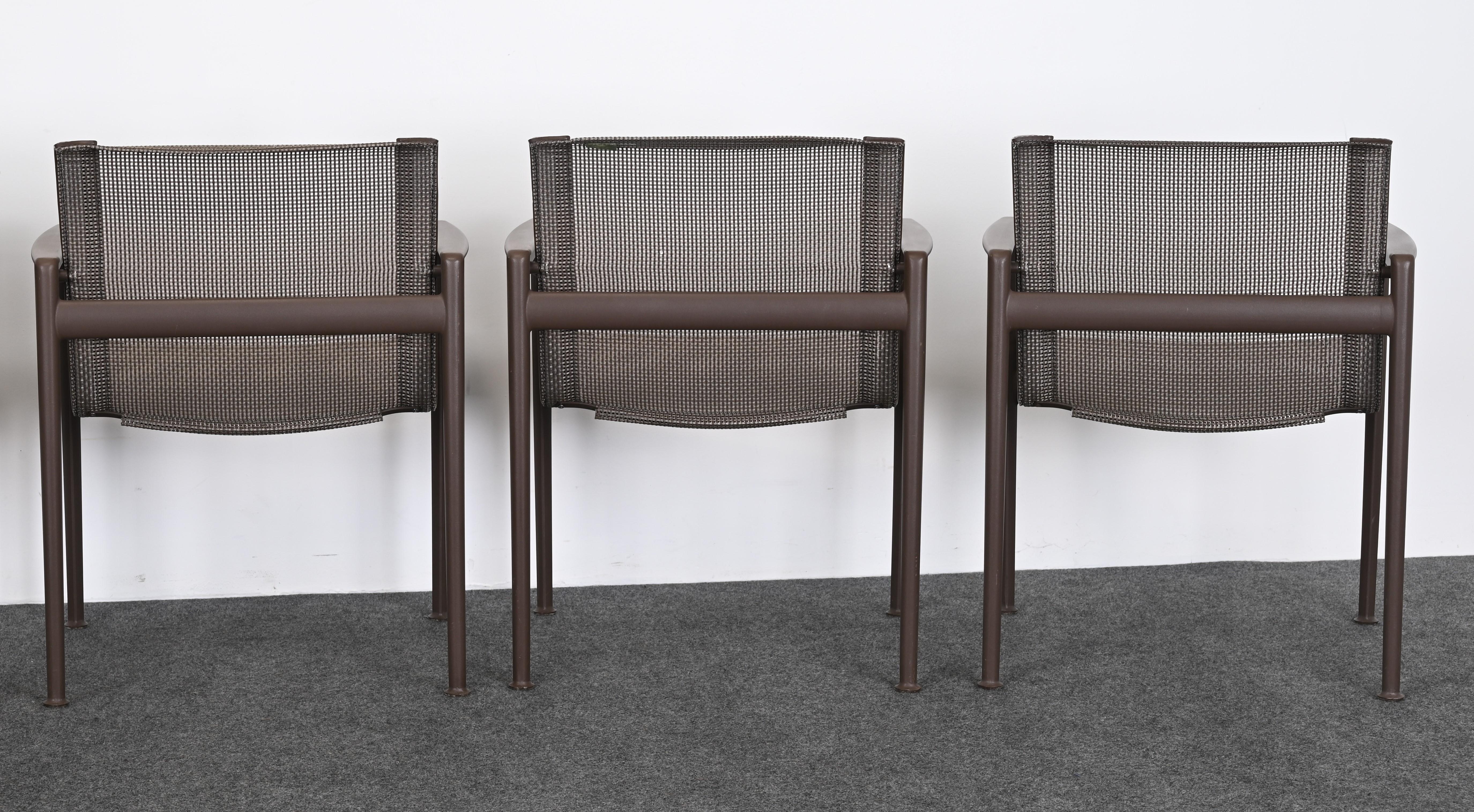 Set of Six Richard Schultz for Knoll 1966 Outdoor Dining Chairs in Chestnut For Sale 7