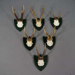 Set of Six Roe Deer Trophies on Carved Plaques Germany around 1875