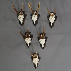Set of Six Roe Deer Trophies on Carved Plaques Germany around 1970s