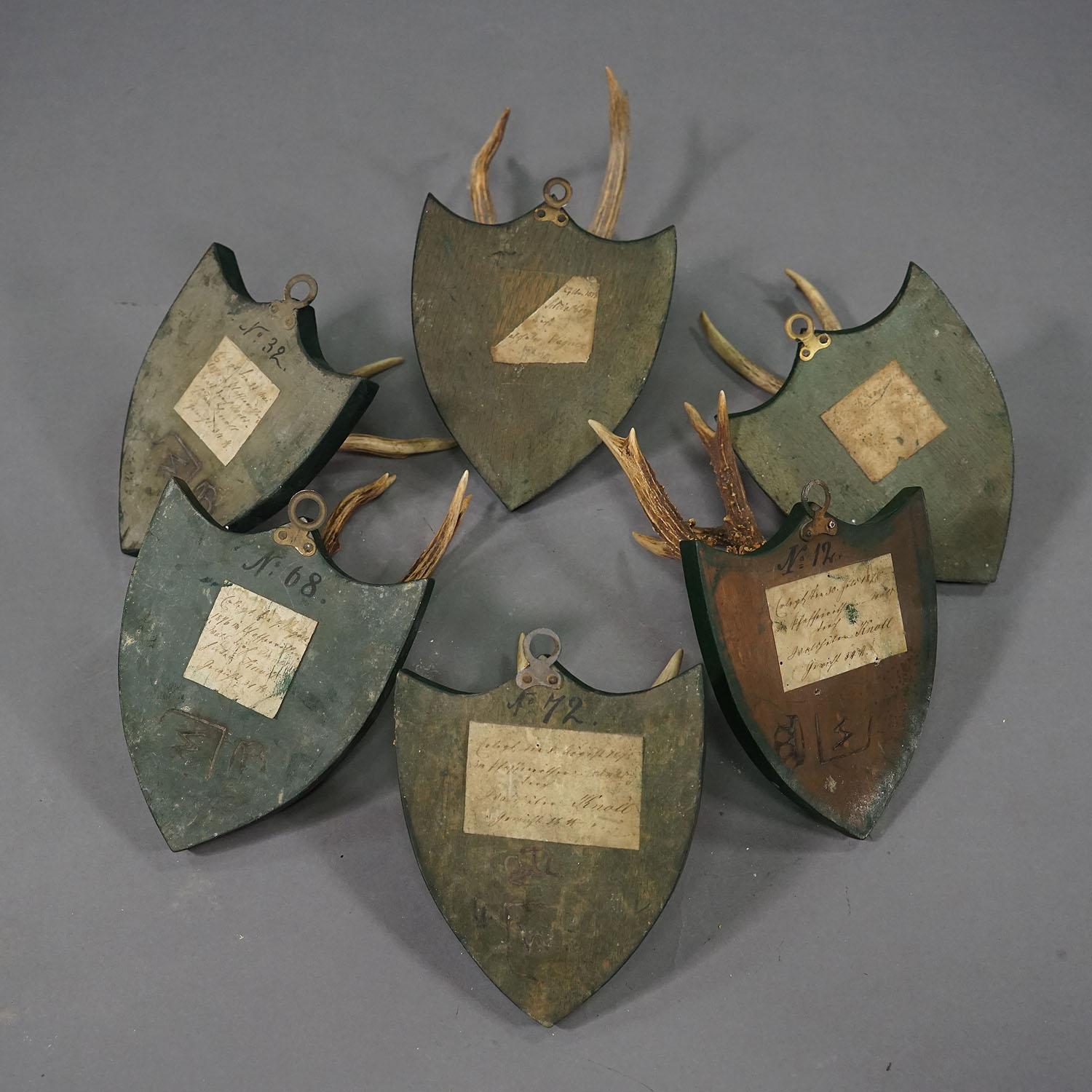 Set von sechs Hirschtrophäen auf geschnitzten Plaketten, Deutschland ca. 1870er Jahre im Angebot 2
