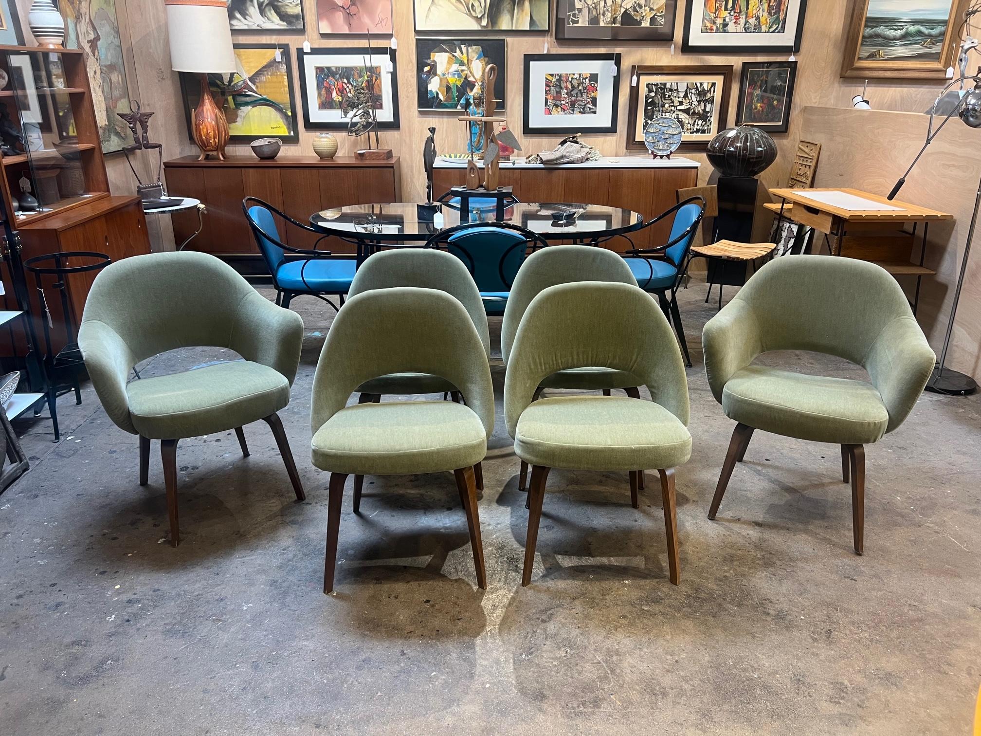 Designed by Eero Saarinen a beautiful set of chairs - Two Executive Arm Chairs and 4 wooden leg side chairs, with a molded reinforced polyurethane shell. Newly Re-upholstered in a luxe Velvet fabric and bent walnut wooden legs. These chairs are sure