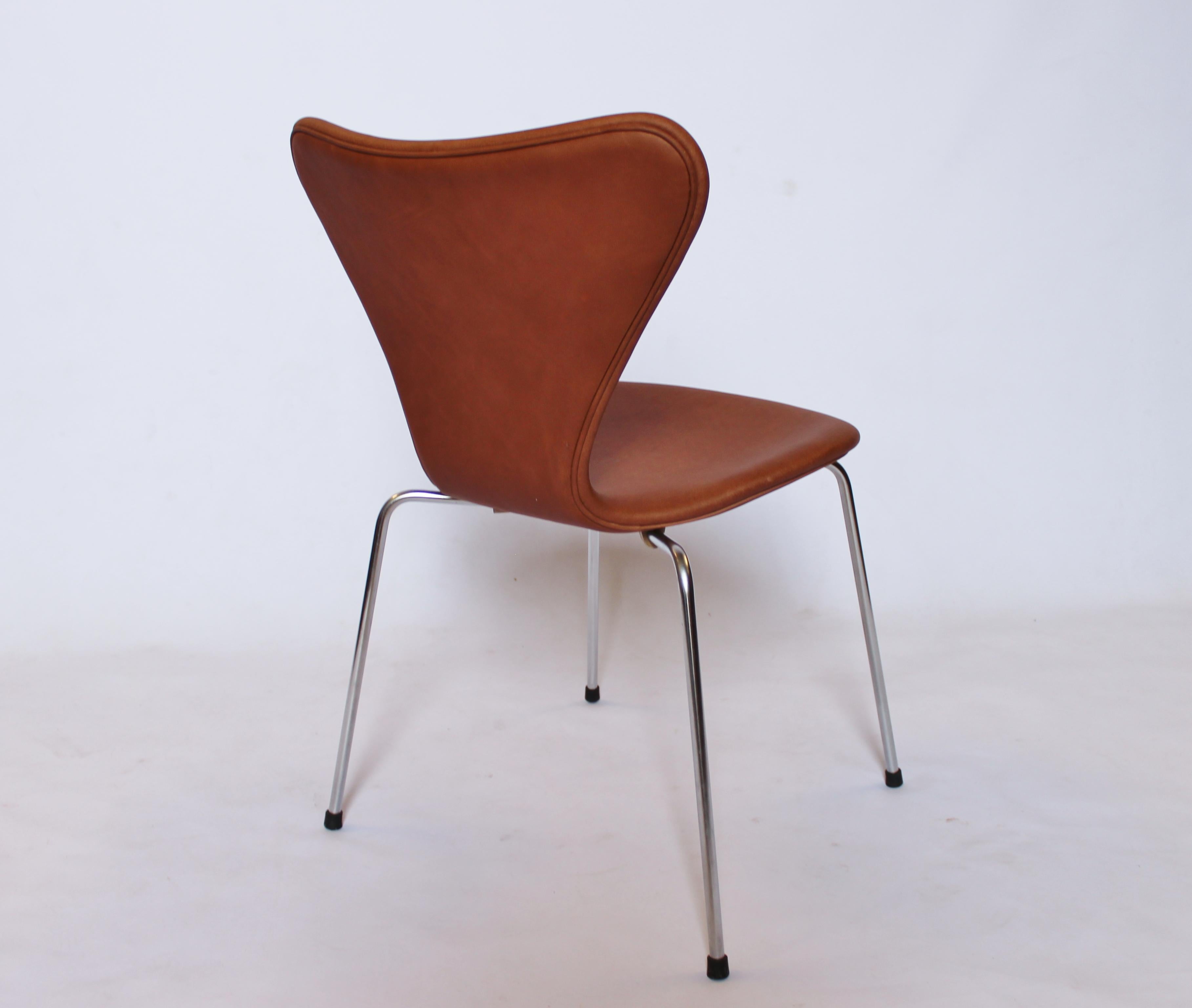 Danish Set of Six Seven Chairs, Model 3107, by Arne Jacobsen and Fritz Hansen, 1967