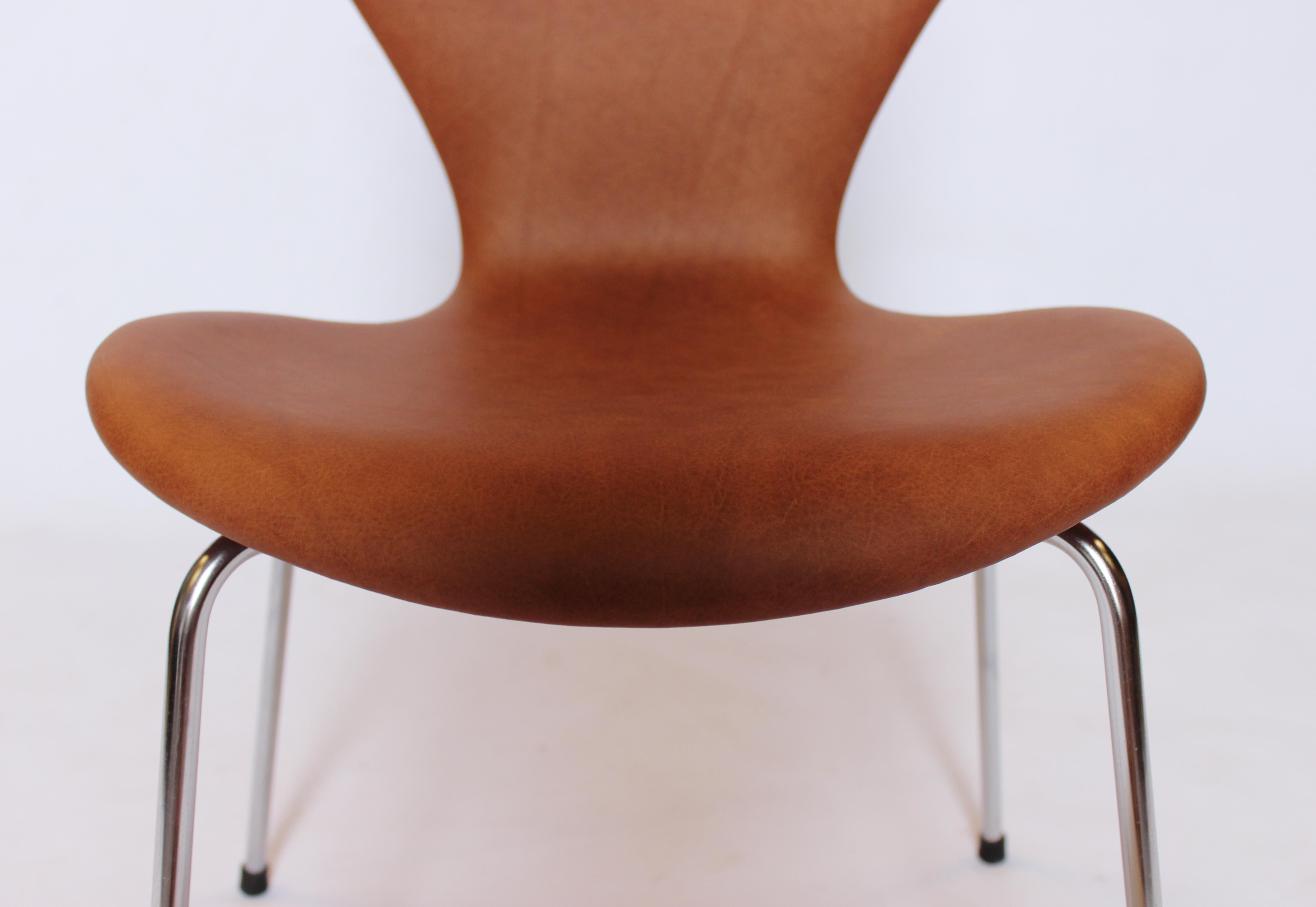 Scandinavian Modern Set of 8 Series 7 Chairs, Model 3107, by Arne Jacobsen and Fritz Hansen, 1967