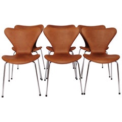 Set of Six Seven Chairs, Model 3107, by Arne Jacobsen and Fritz Hansen, 1967
