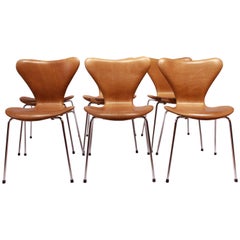 Set of Six, Seven Chairs Model 3107 by Arne Jacobsen and Fritz Hansen Set of Six, Seven Chairs Model 3107 by Arne Jacobsen and Fritz Hansen