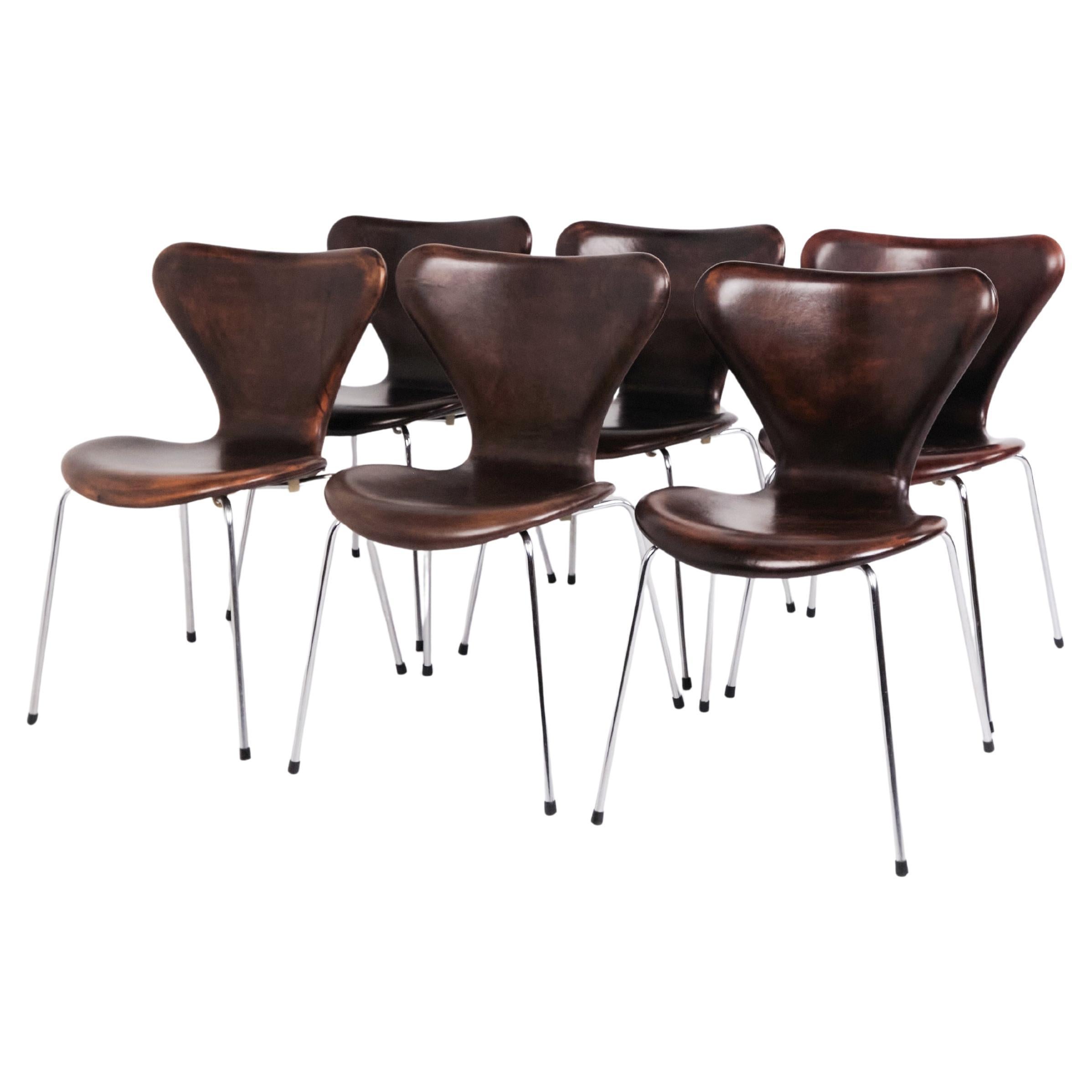 Set Of Six Seven Chairs Model 3107 In Patinated Brown Leather By Arne Jacobsen For Sale
