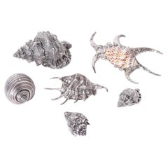 Set of Six Silver Plated Seashells, Priced Individually