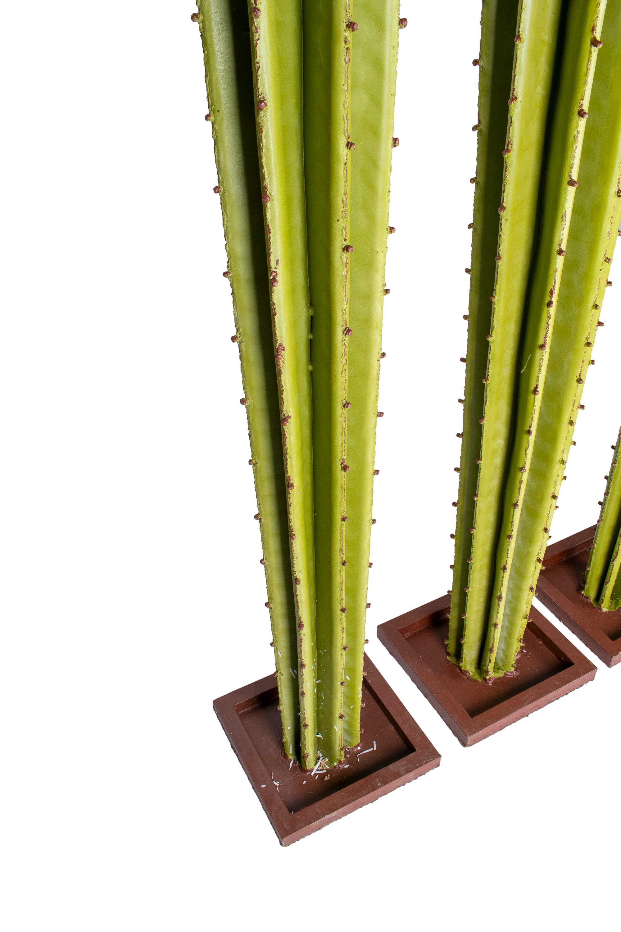 3 sided cactus