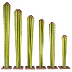 Set of Six Spanish Painted Iron Cactus Statues