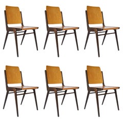 Set of Six Stacking Chairs Franz Schuster, Bicolored Beech Wood, Austria, 1959