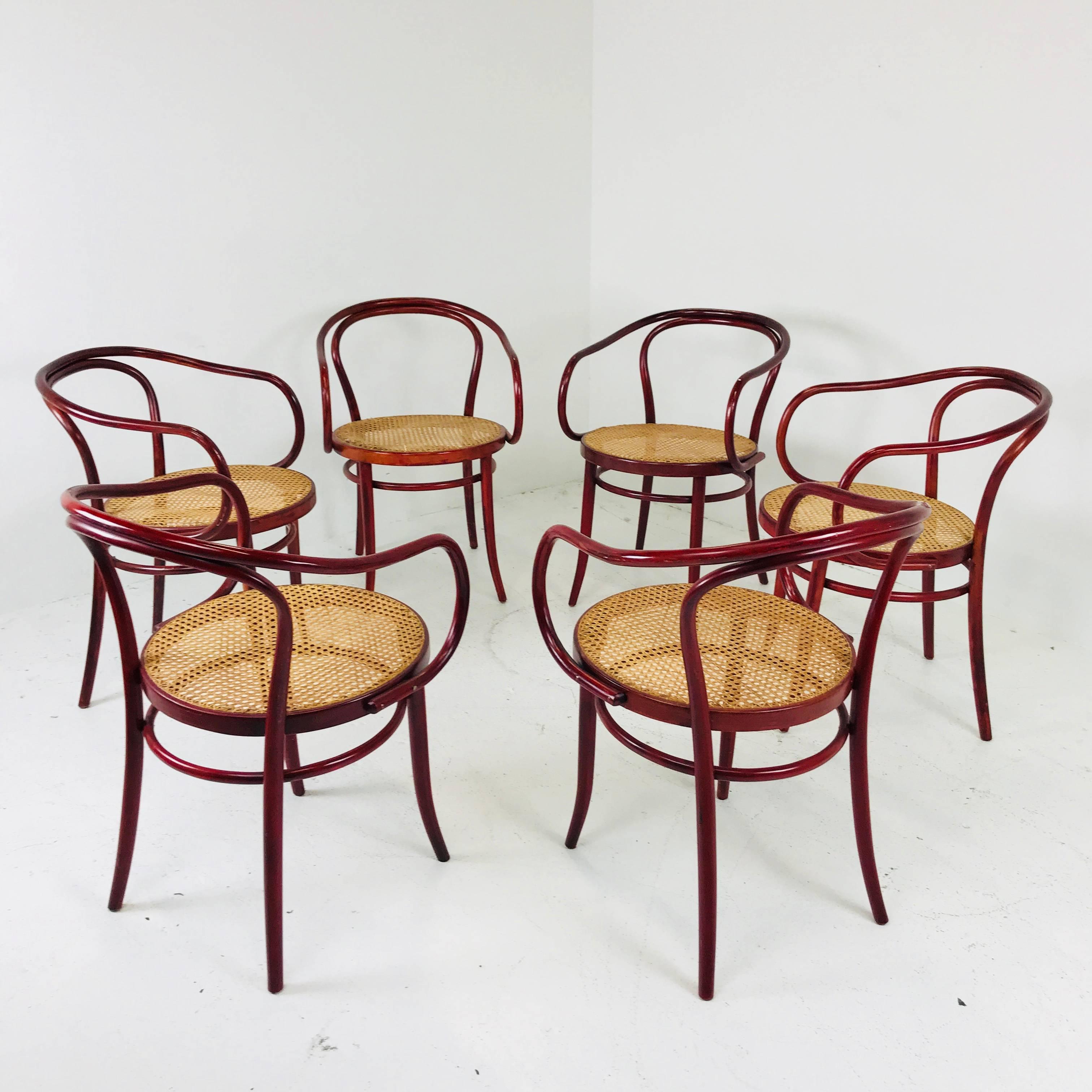 Set of Six Thonet Bentwood Armchairs In Good Condition In Dallas, TX