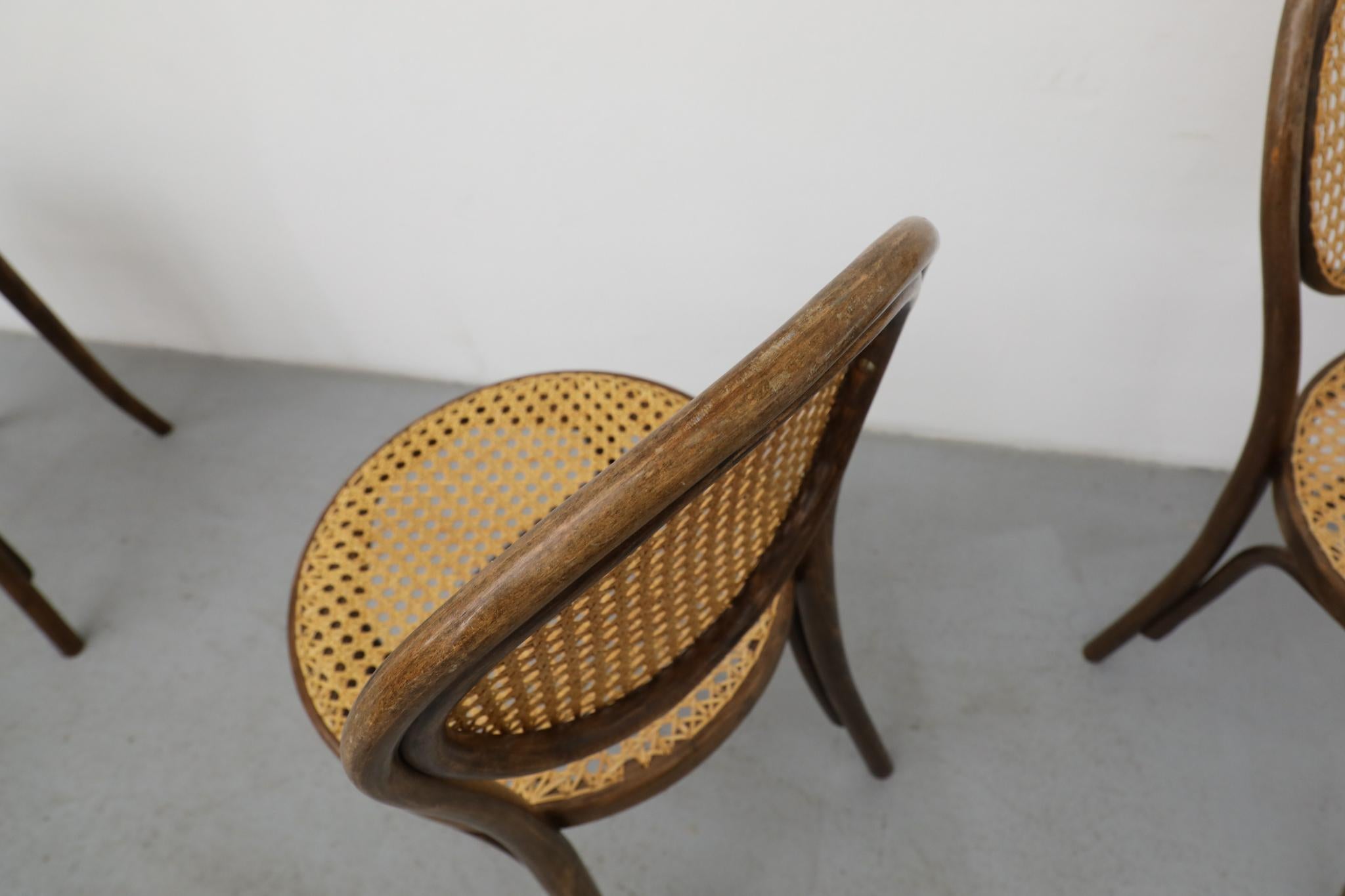 Satz von sechs Thonet Bugholz-Bistrostühlen mit hoher Rückenlehne und Rohr, Anfang 20. im Angebot 3