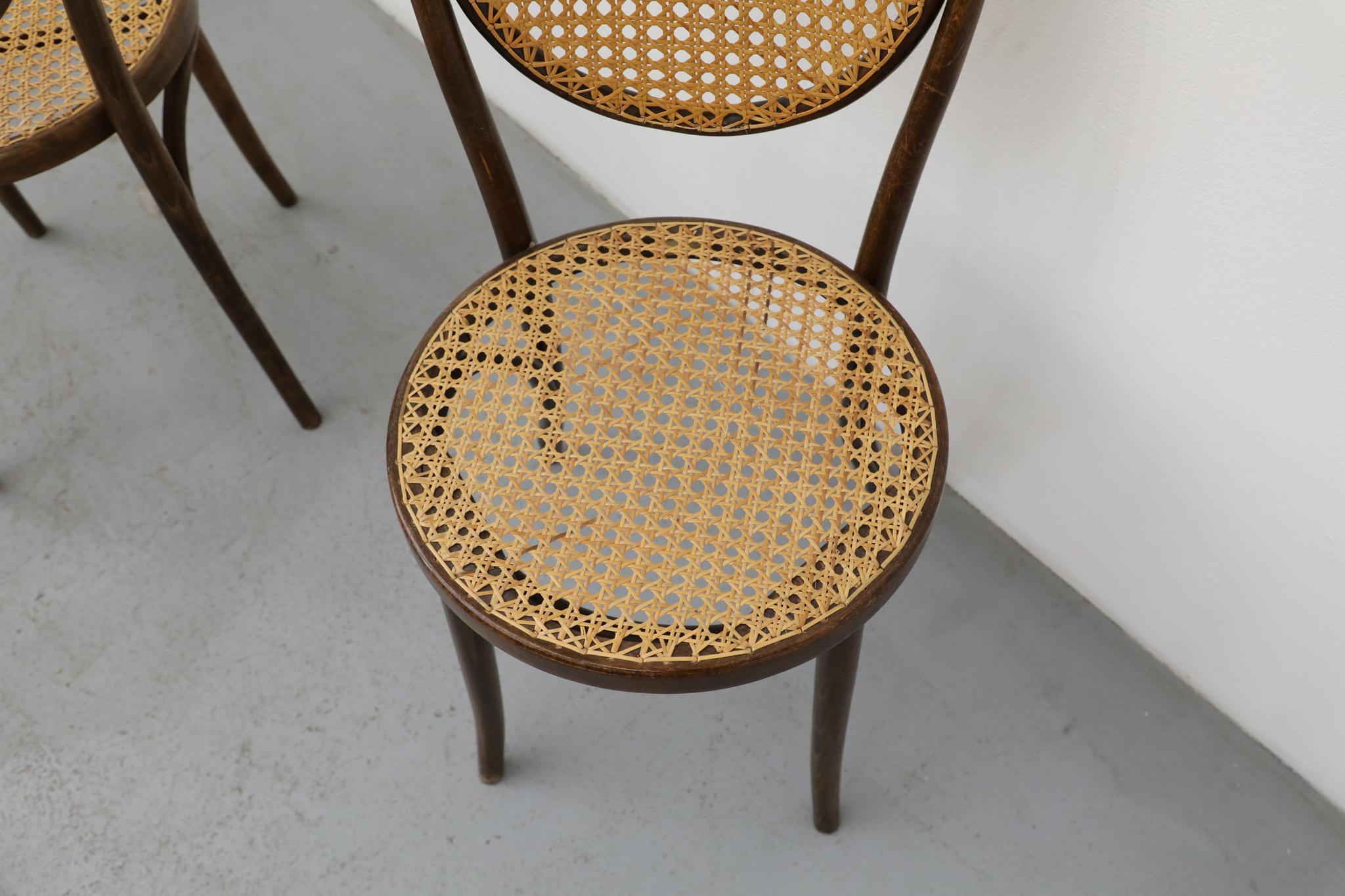 Satz von sechs Thonet Bugholz-Bistrostühlen mit hoher Rückenlehne und Rohr, Anfang 20. im Angebot 4