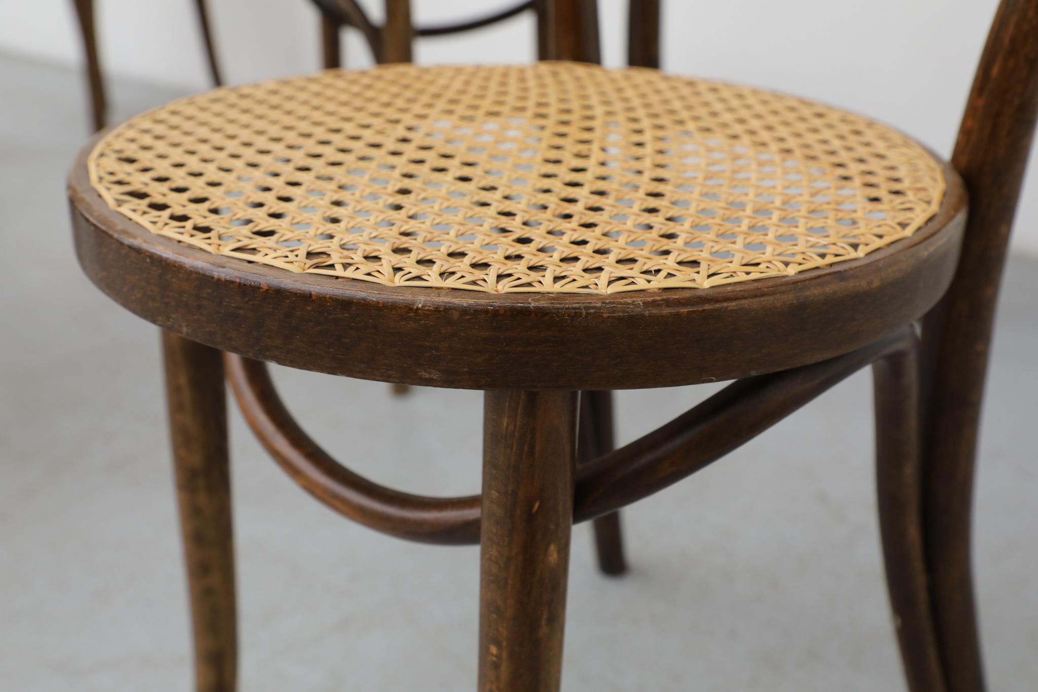 Satz von sechs Thonet Bugholz-Bistrostühlen mit hoher Rückenlehne und Rohr, Anfang 20. im Angebot 5
