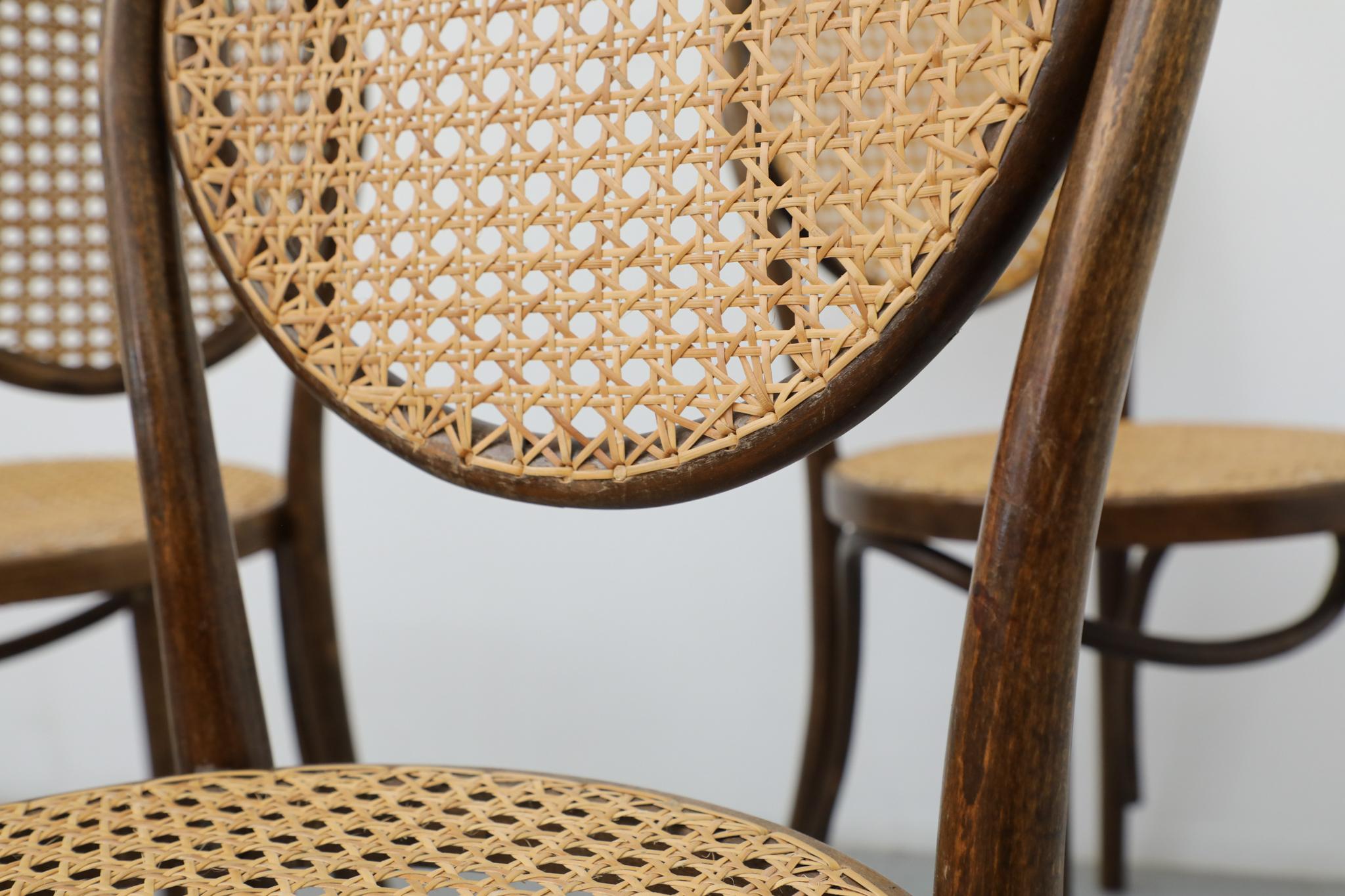 Satz von sechs Thonet Bugholz-Bistrostühlen mit hoher Rückenlehne und Rohr, Anfang 20. im Angebot 7