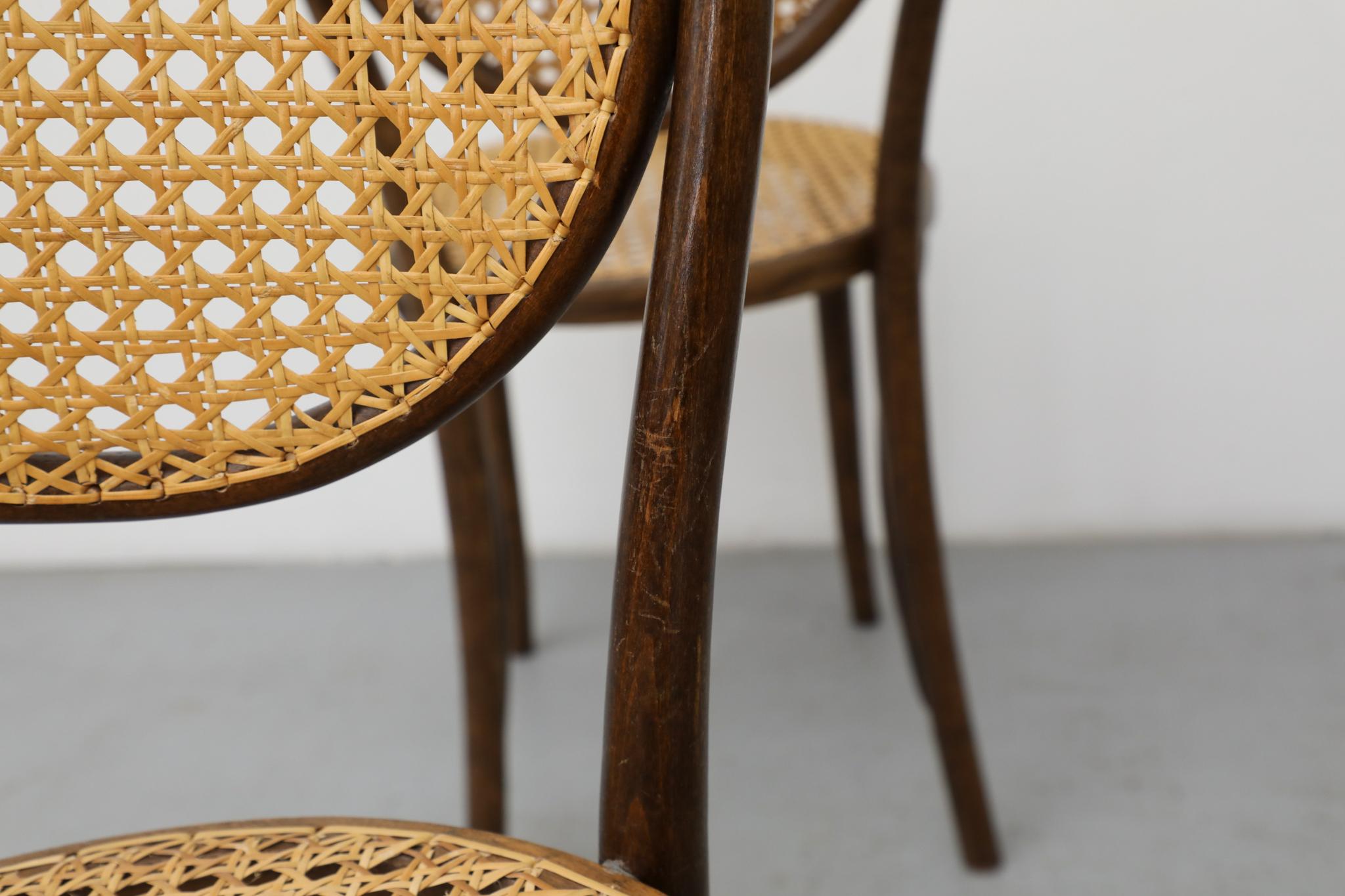 Satz von sechs Thonet Bugholz-Bistrostühlen mit hoher Rückenlehne und Rohr, Anfang 20. im Angebot 9