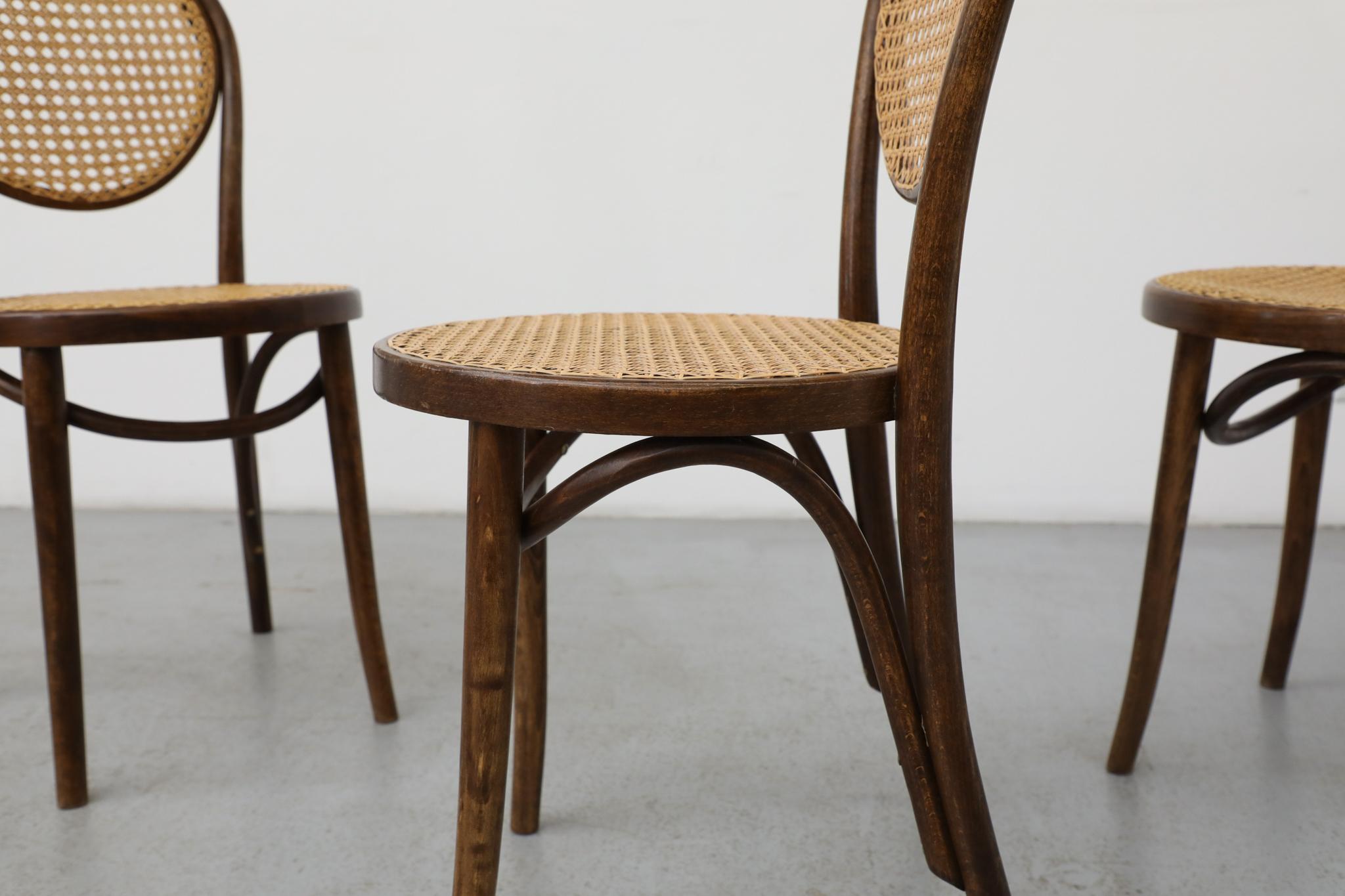 Satz von sechs Thonet Bugholz-Bistrostühlen mit hoher Rückenlehne und Rohr, Anfang 20. im Angebot 11