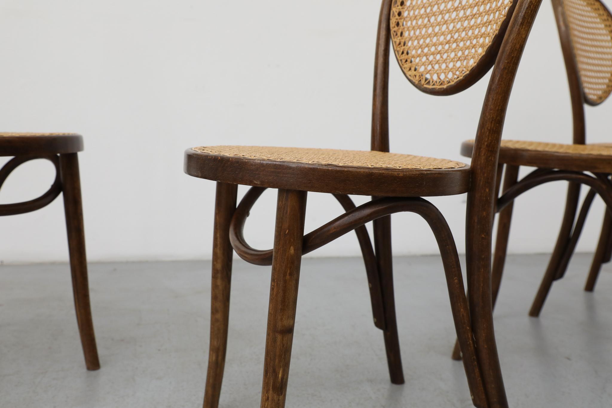 Satz von sechs Thonet Bugholz-Bistrostühlen mit hoher Rückenlehne und Rohr, Anfang 20. im Angebot 12