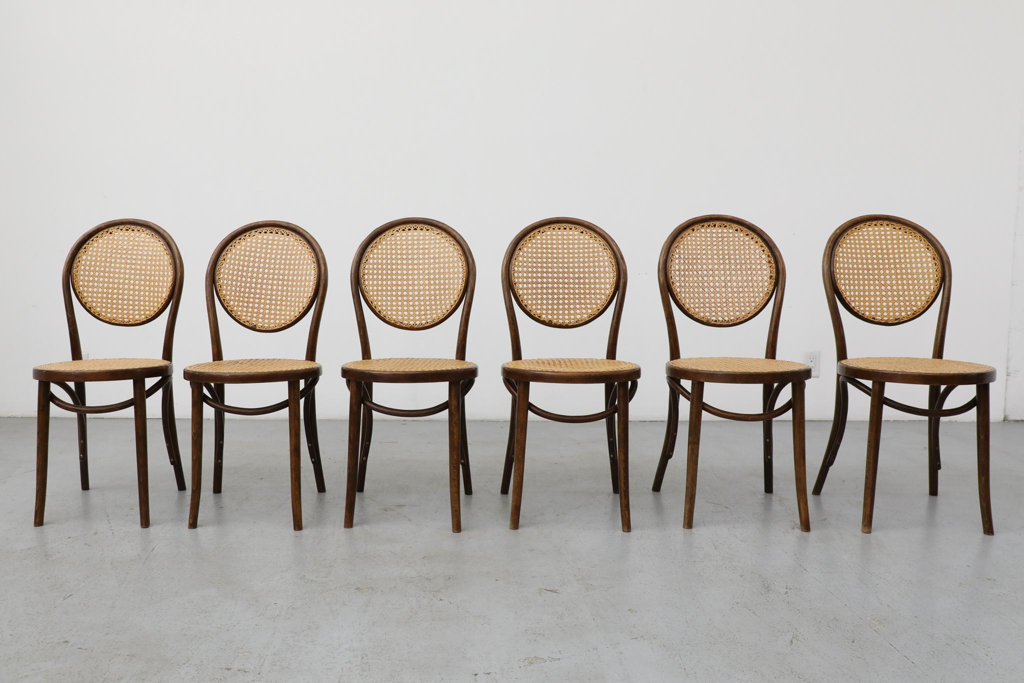 Dieses Set aus sechs Bistrostühlen mit hoher Rückenlehne, das der renommierten Firma Thonet zugeschrieben wird, ist ein beständiges Beispiel für deren revolutionäres Bugholzdesign. Diese klassischen Stühle zeigen die elegante, leichte Form, die