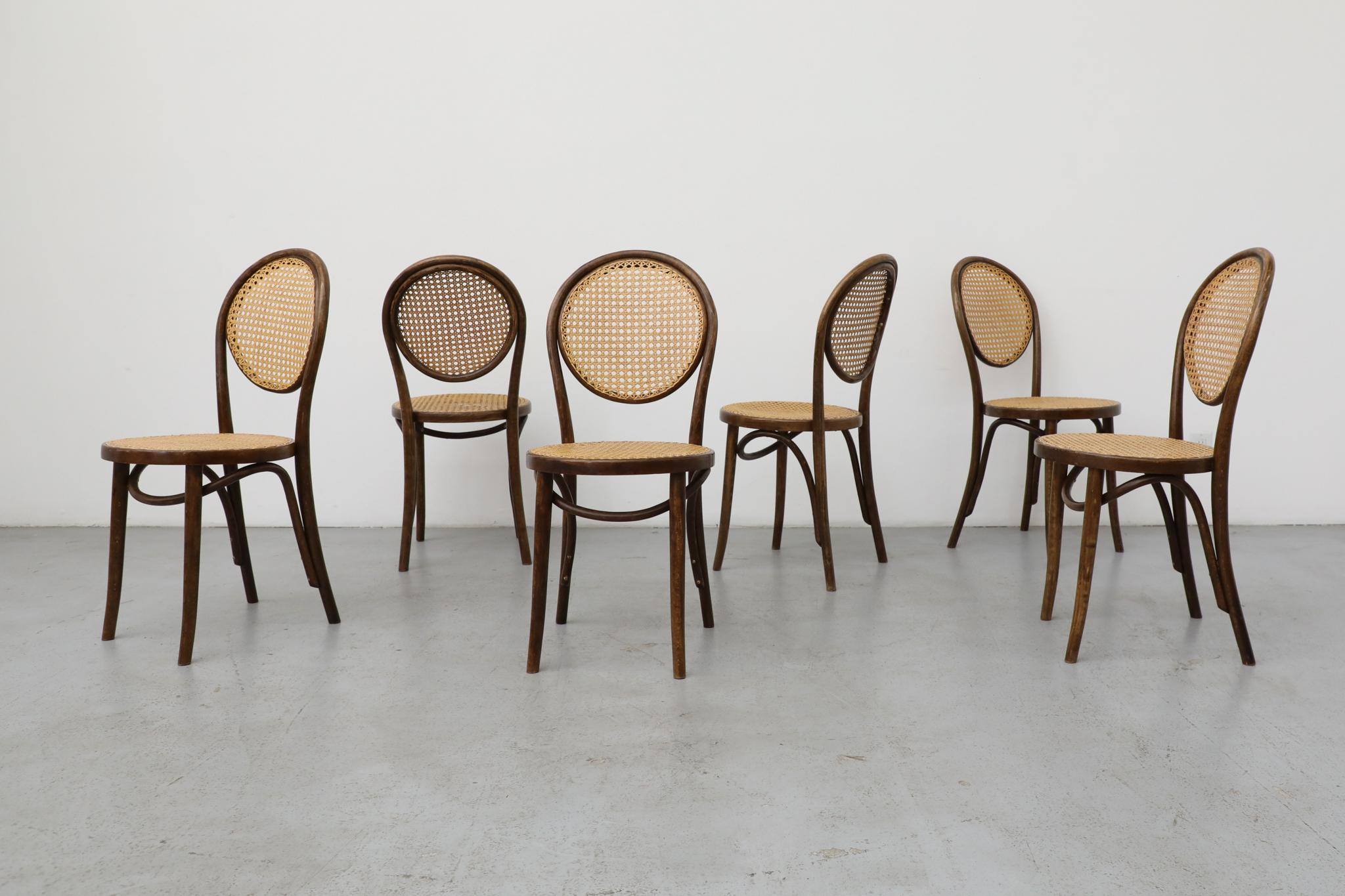 Satz von sechs Thonet Bugholz-Bistrostühlen mit hoher Rückenlehne und Rohr, Anfang 20. (Art nouveau) im Angebot