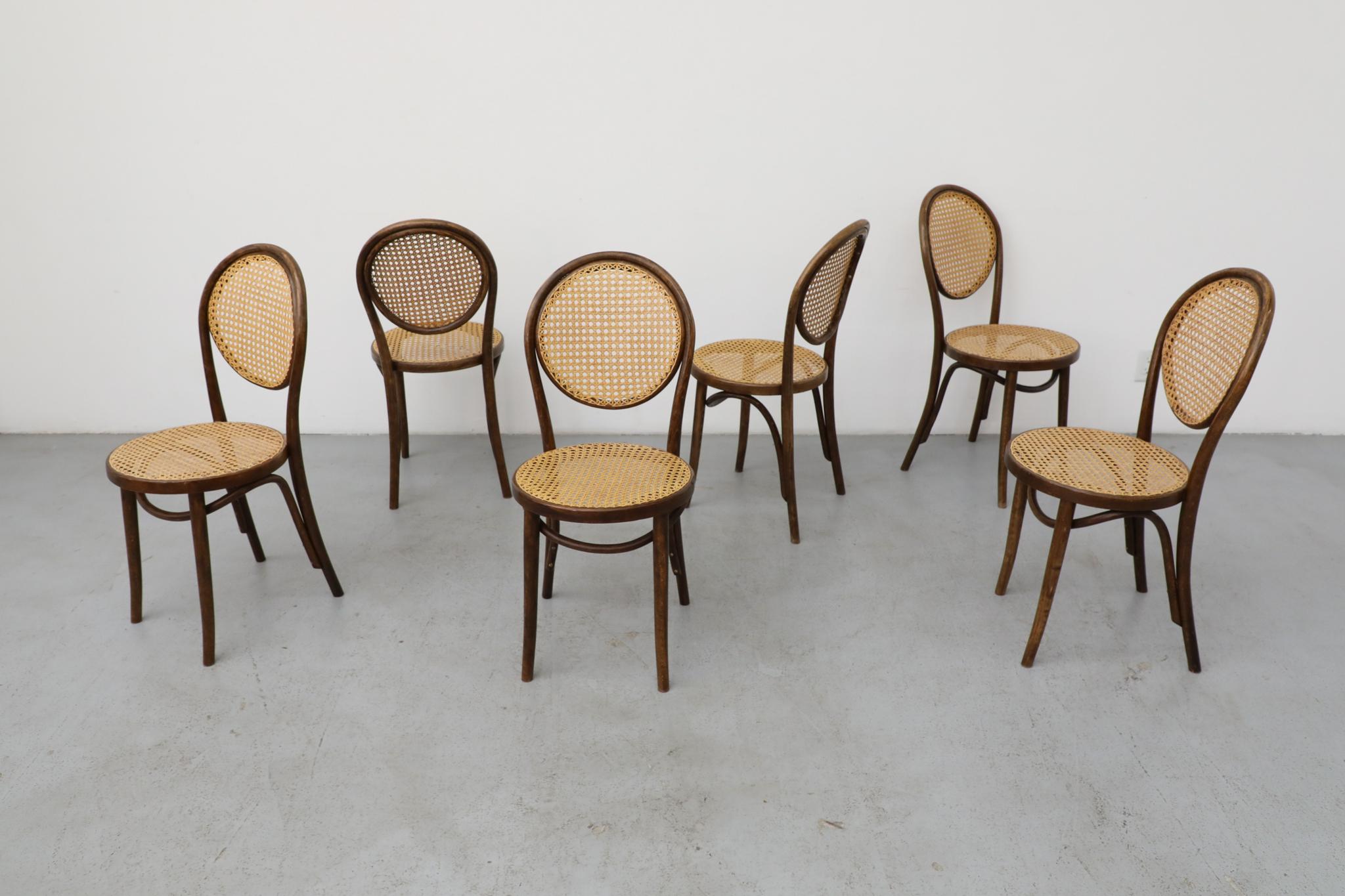 Satz von sechs Thonet Bugholz-Bistrostühlen mit hoher Rückenlehne und Rohr, Anfang 20. (Österreichisch) im Angebot
