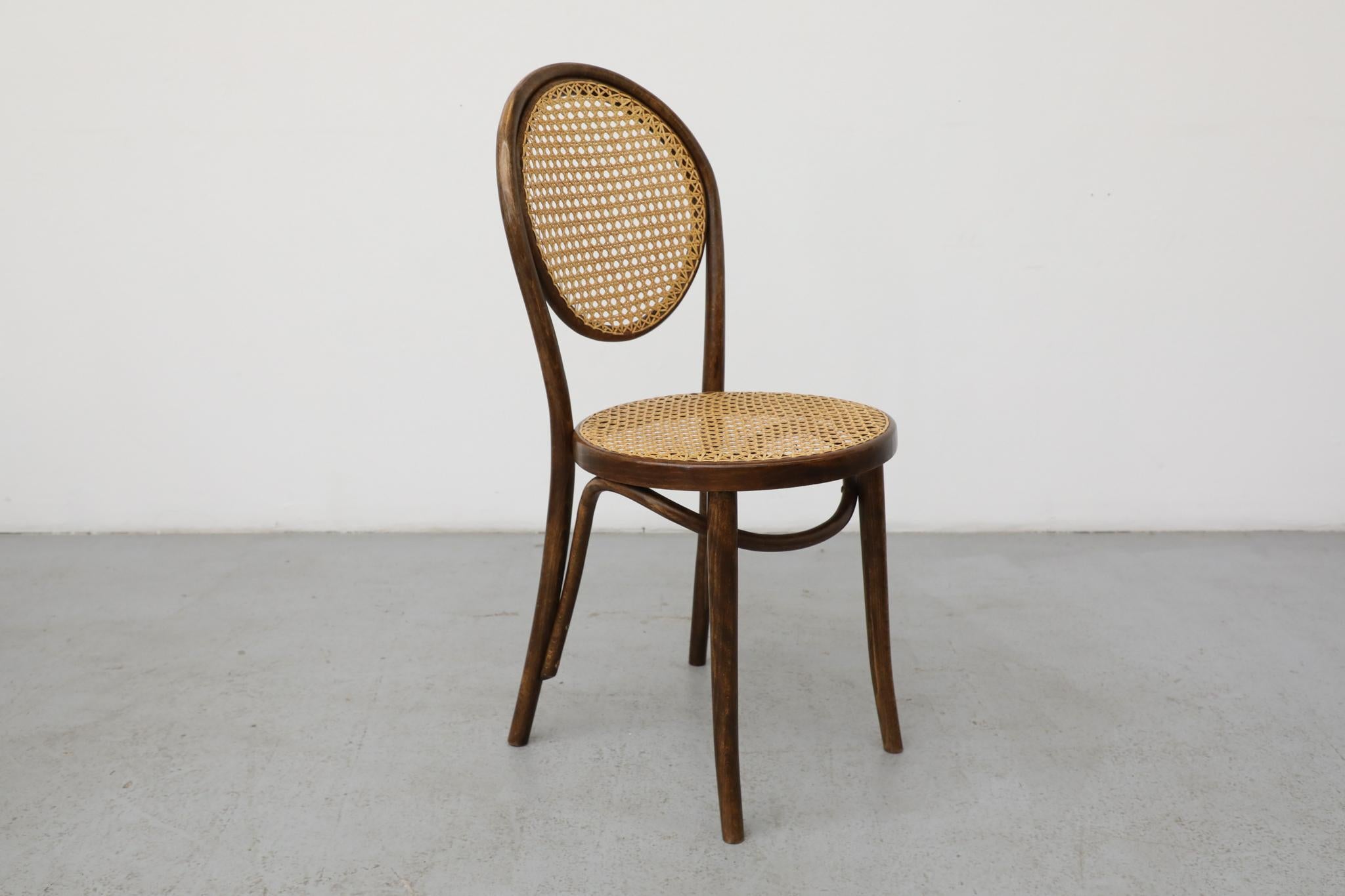 Satz von sechs Thonet Bugholz-Bistrostühlen mit hoher Rückenlehne und Rohr, Anfang 20. (Frühes 20. Jahrhundert) im Angebot