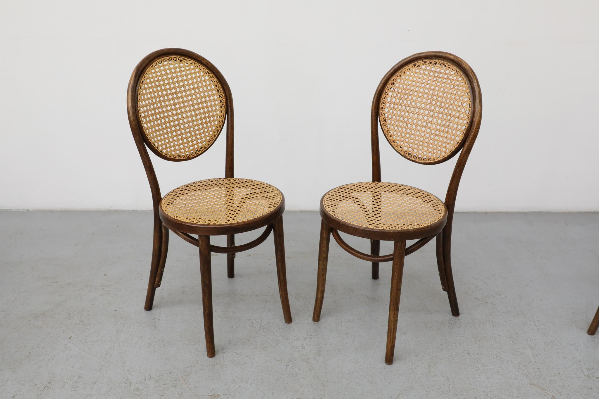 Satz von sechs Thonet Bugholz-Bistrostühlen mit hoher Rückenlehne und Rohr, Anfang 20. (Gehstock) im Angebot
