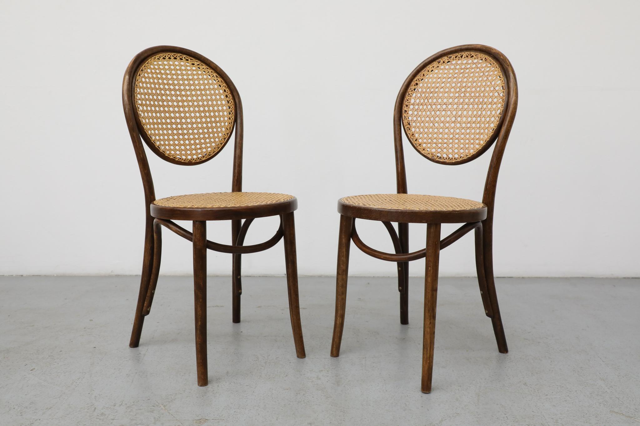 Satz von sechs Thonet Bugholz-Bistrostühlen mit hoher Rückenlehne und Rohr, Anfang 20. im Angebot 1