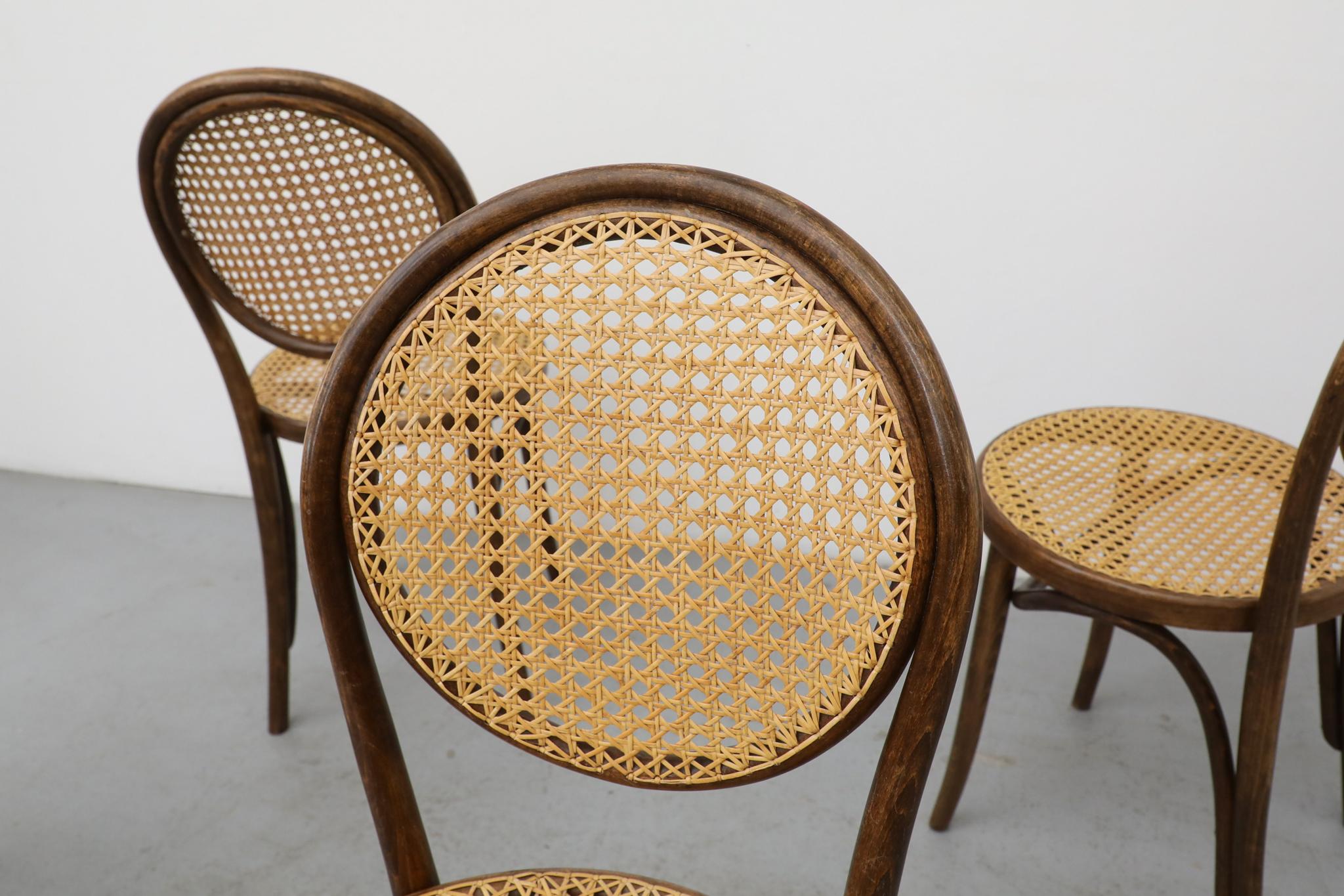 Satz von sechs Thonet Bugholz-Bistrostühlen mit hoher Rückenlehne und Rohr, Anfang 20. im Angebot 2
