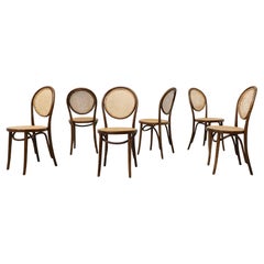 Dining Room Chairs