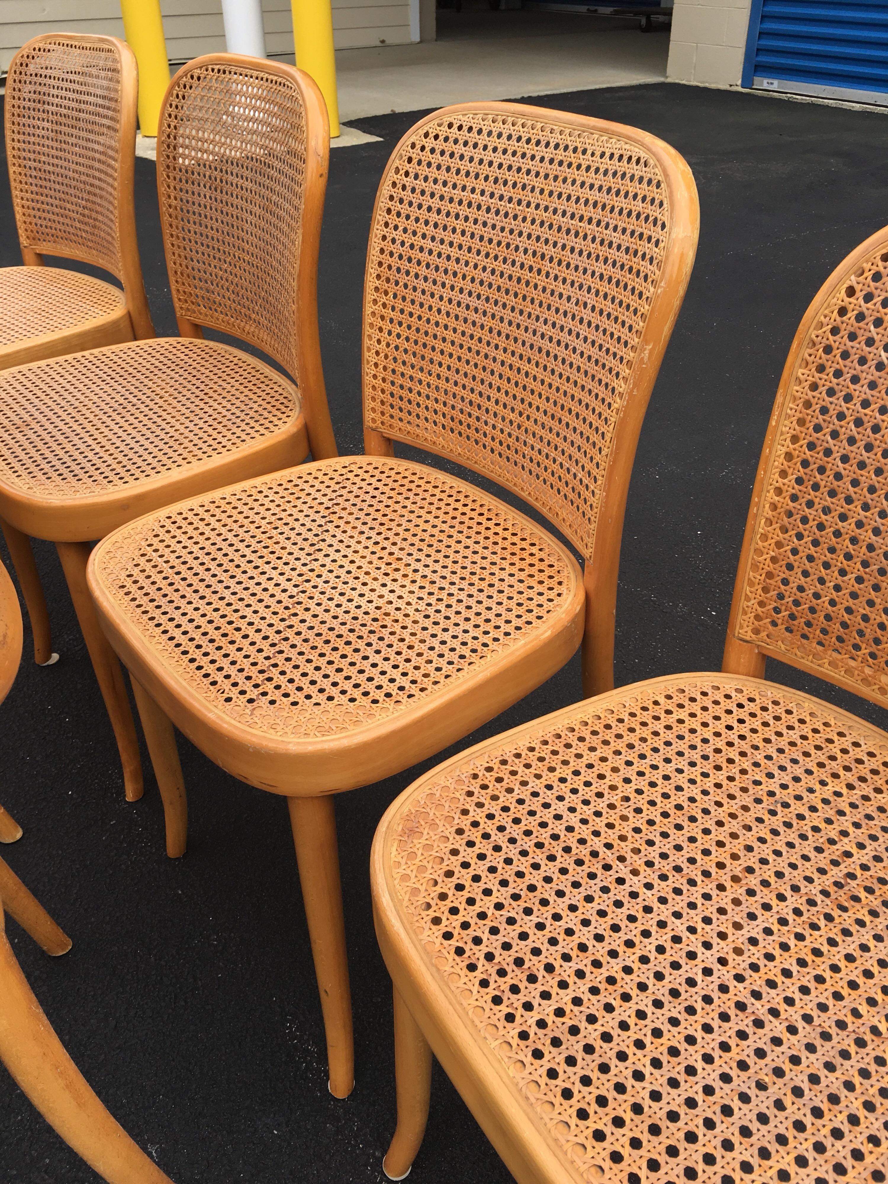 Set of Six Thonet Style Bentwood and Caned Chairs by Salvatore Leone, circa 1920 For Sale 1