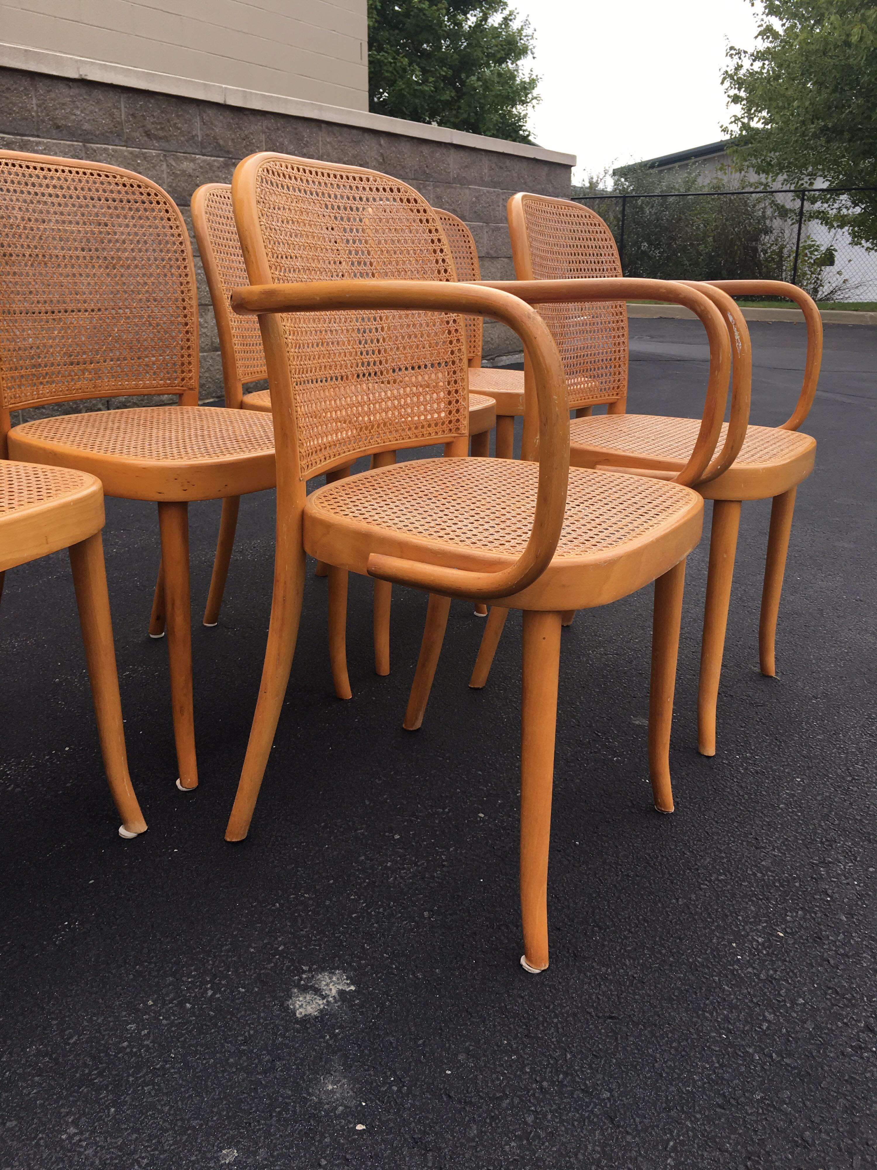 Set of Six Thonet Style Bentwood and Caned Chairs by Salvatore Leone, circa 1920 For Sale 4