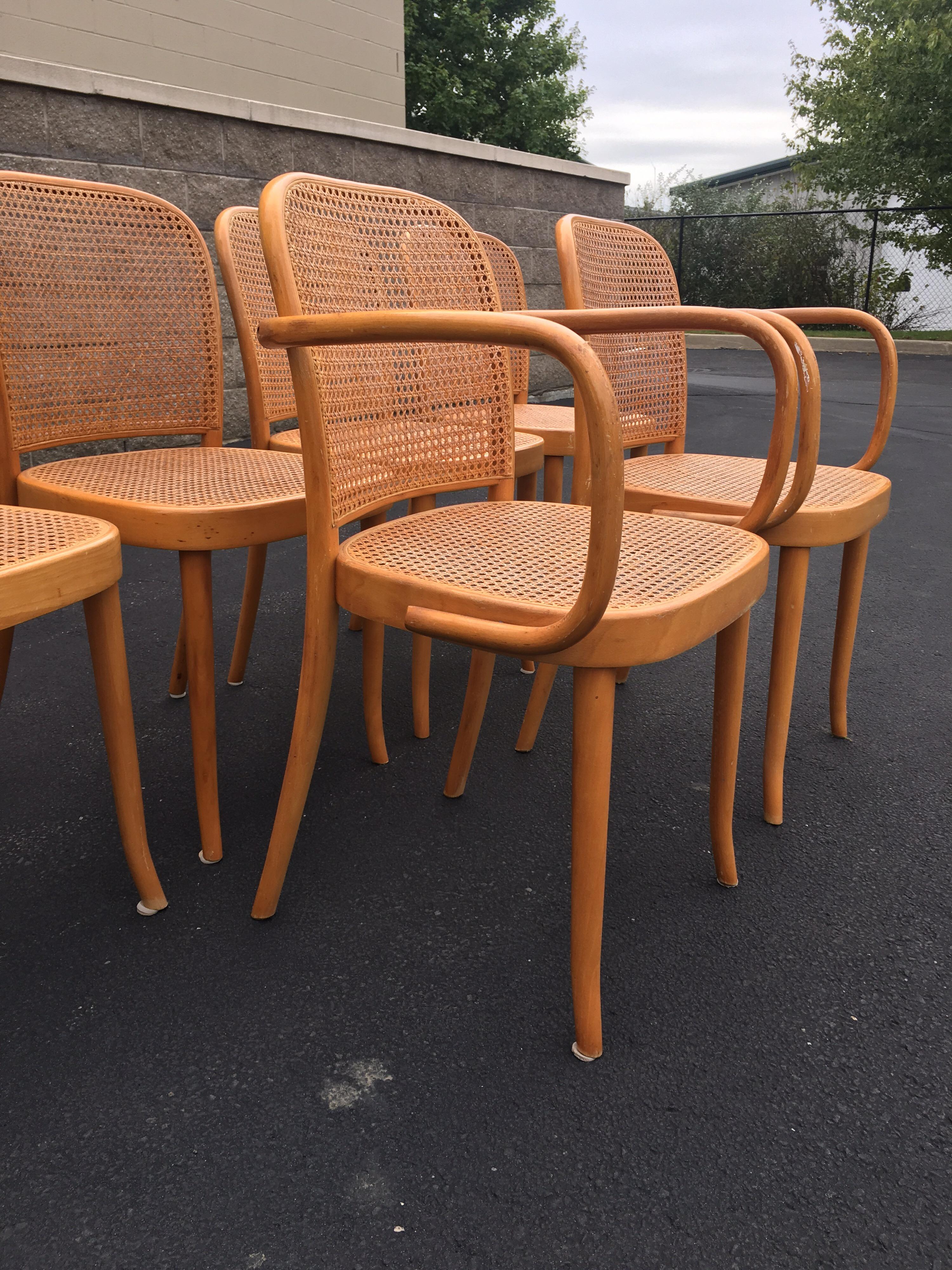 Set of Six Thonet Style Bentwood and Caned Chairs by Salvatore Leone, circa 1920 For Sale 5