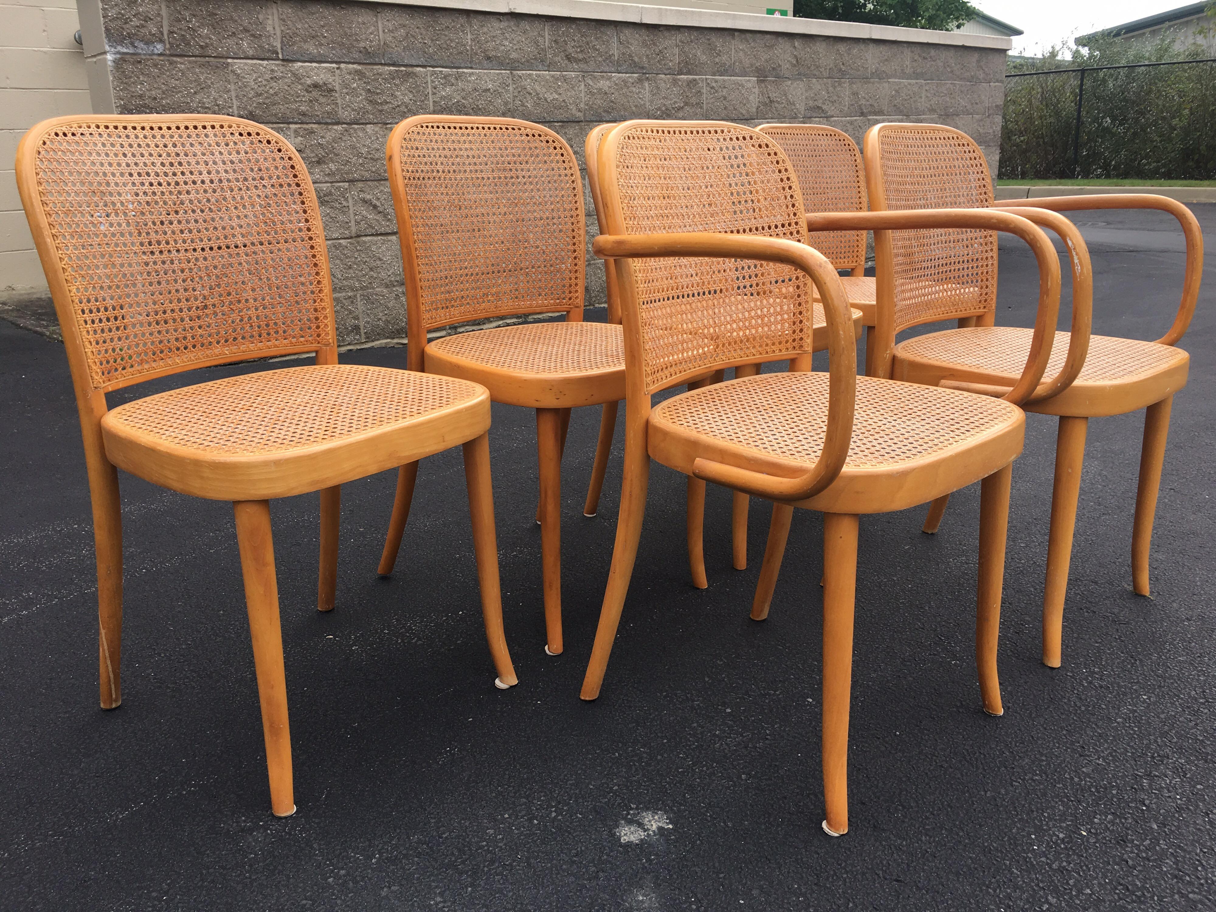 Set of Six Thonet Style Bentwood and Caned Chairs by Salvatore Leone, circa 1920 For Sale 6