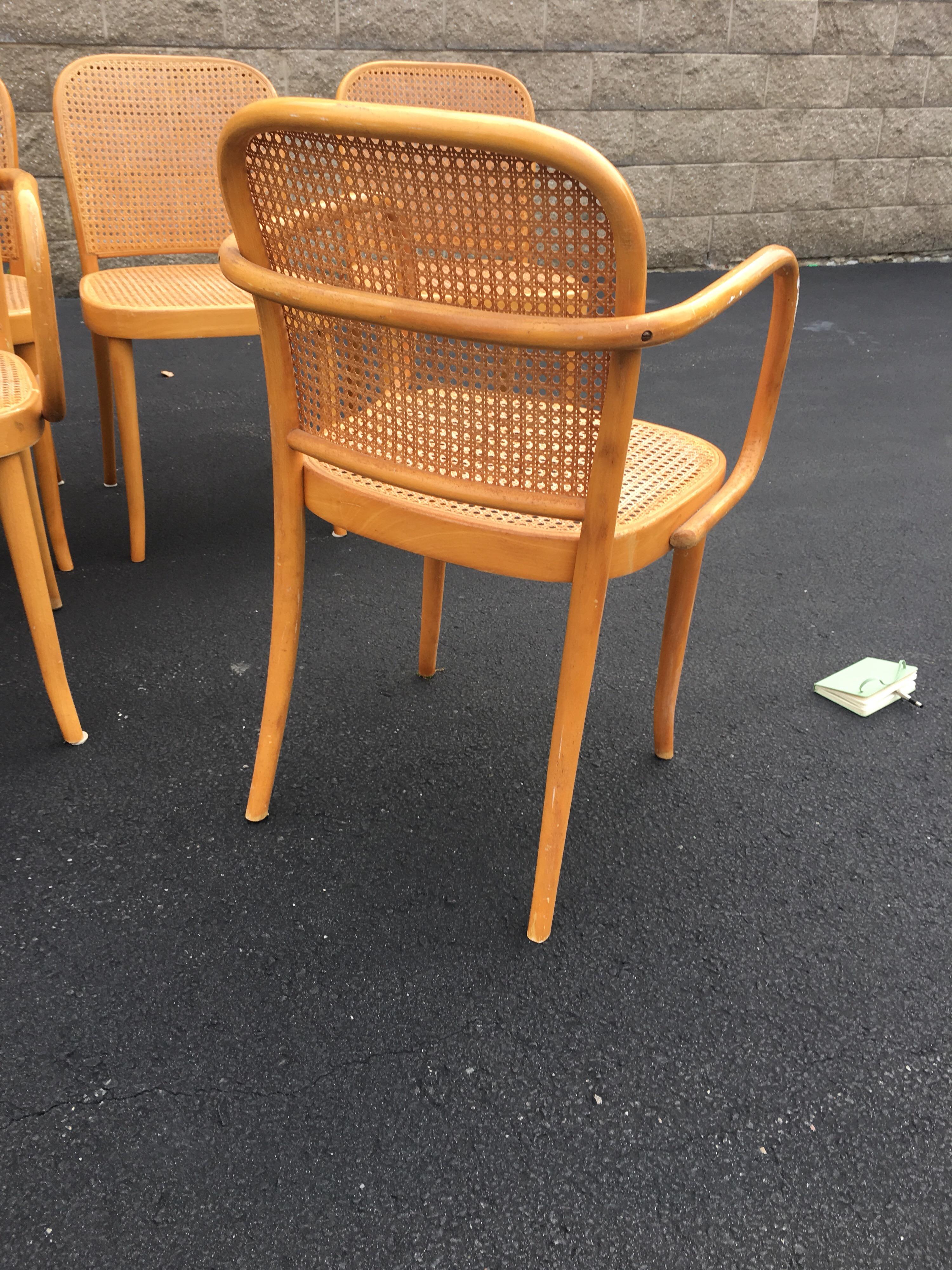 Set of Six Thonet Style Bentwood and Caned Chairs by Salvatore Leone, circa 1920 For Sale 7