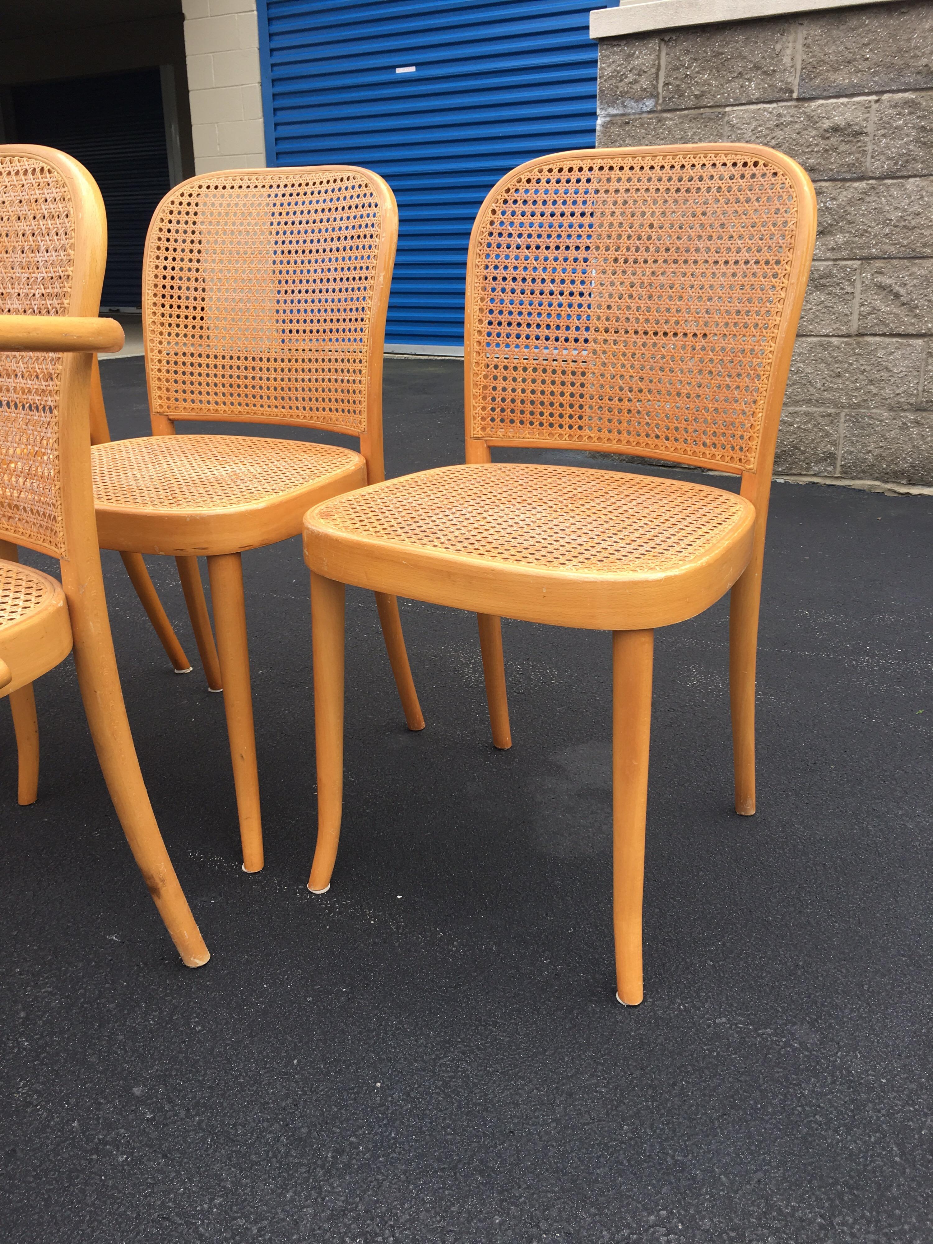 thonet style chairs
