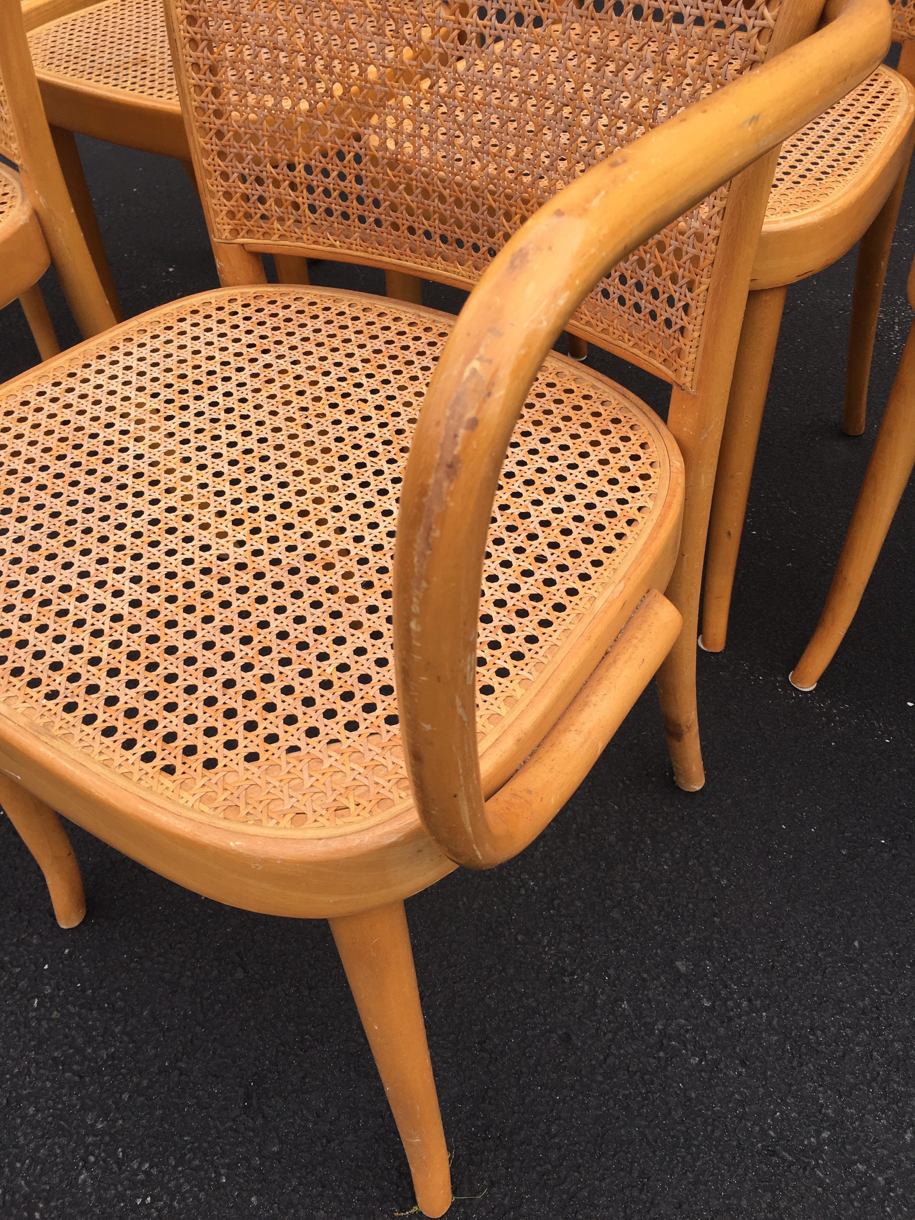 Art Nouveau Set of Six Thonet Style Bentwood and Caned Chairs by Salvatore Leone, circa 1920 For Sale
